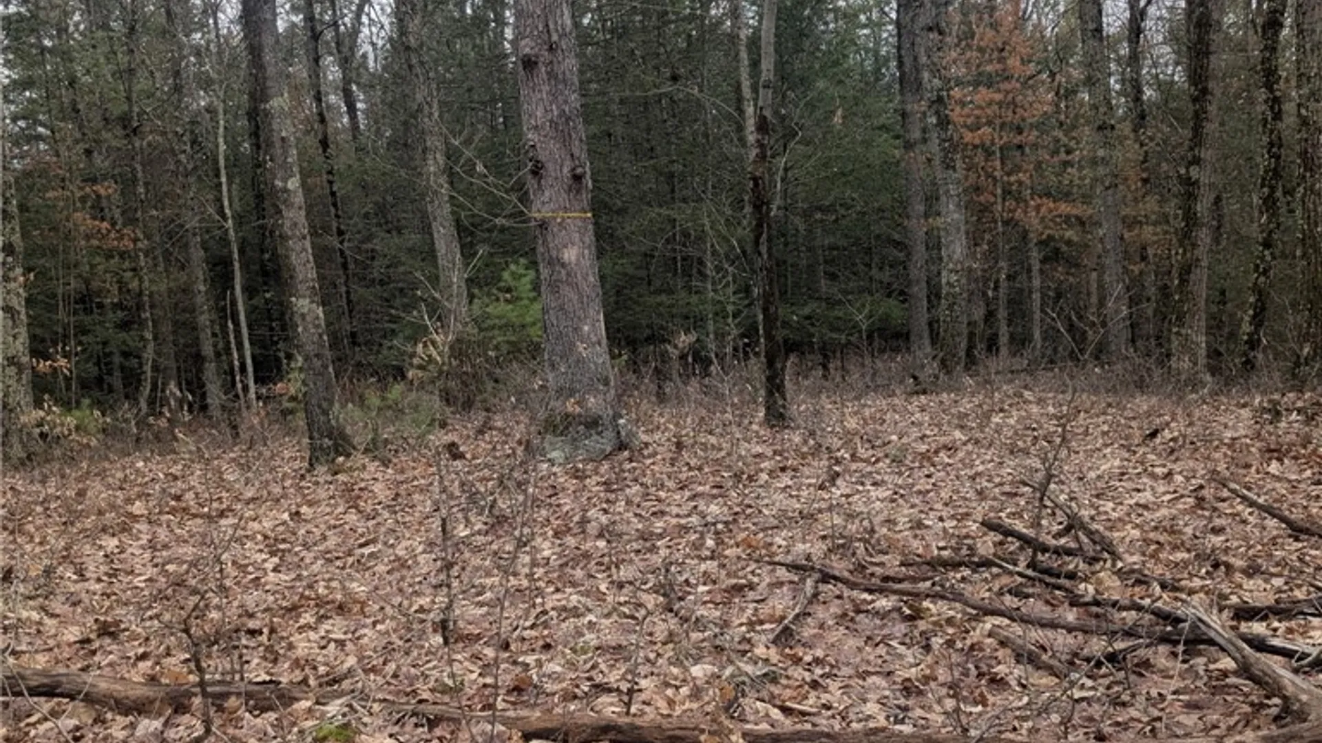 Property at 370 Ellis Creek Rd, Barton, NY 14892 21