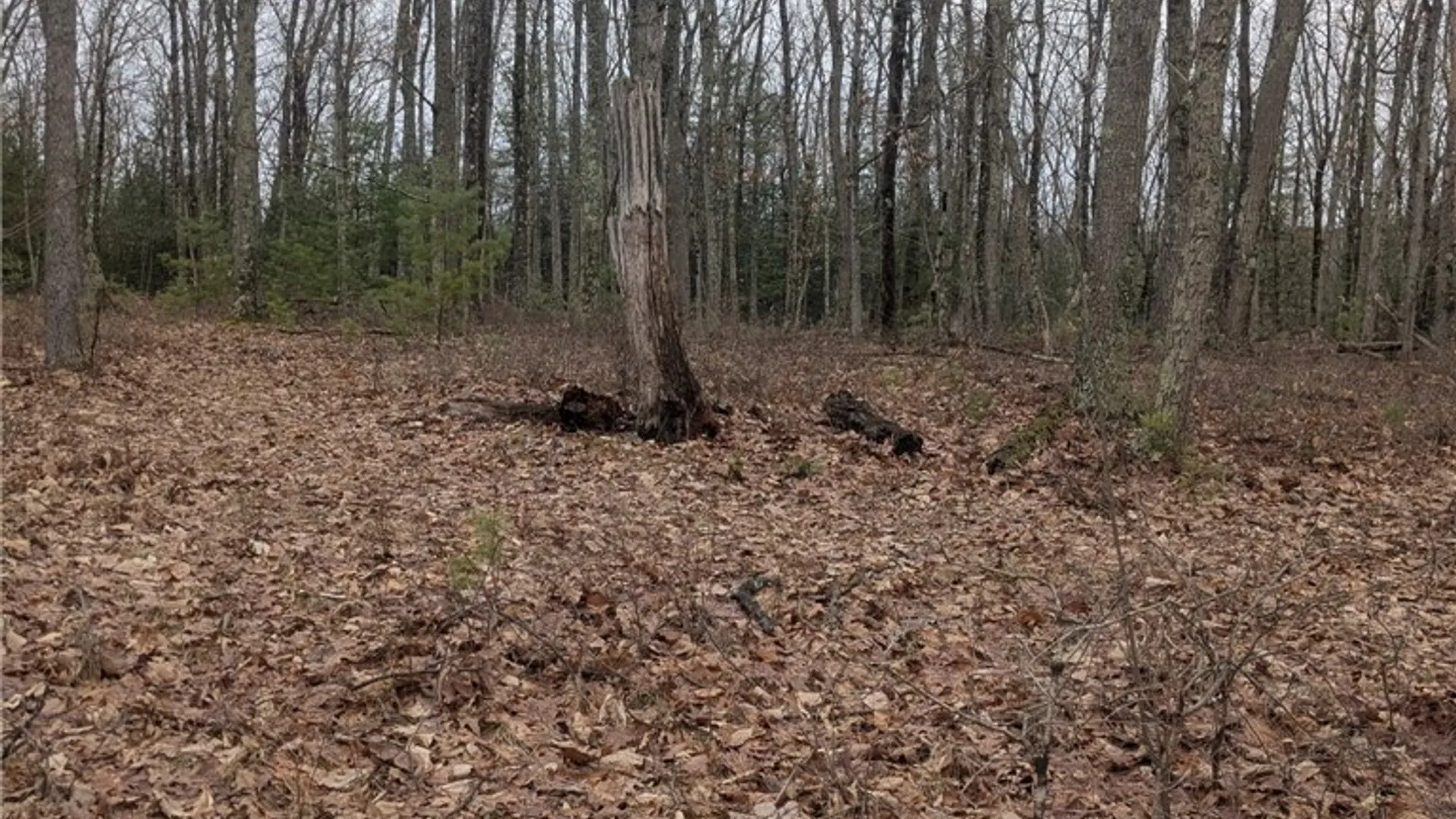 Property at 370 Ellis Creek Rd, Barton, NY 14892 22