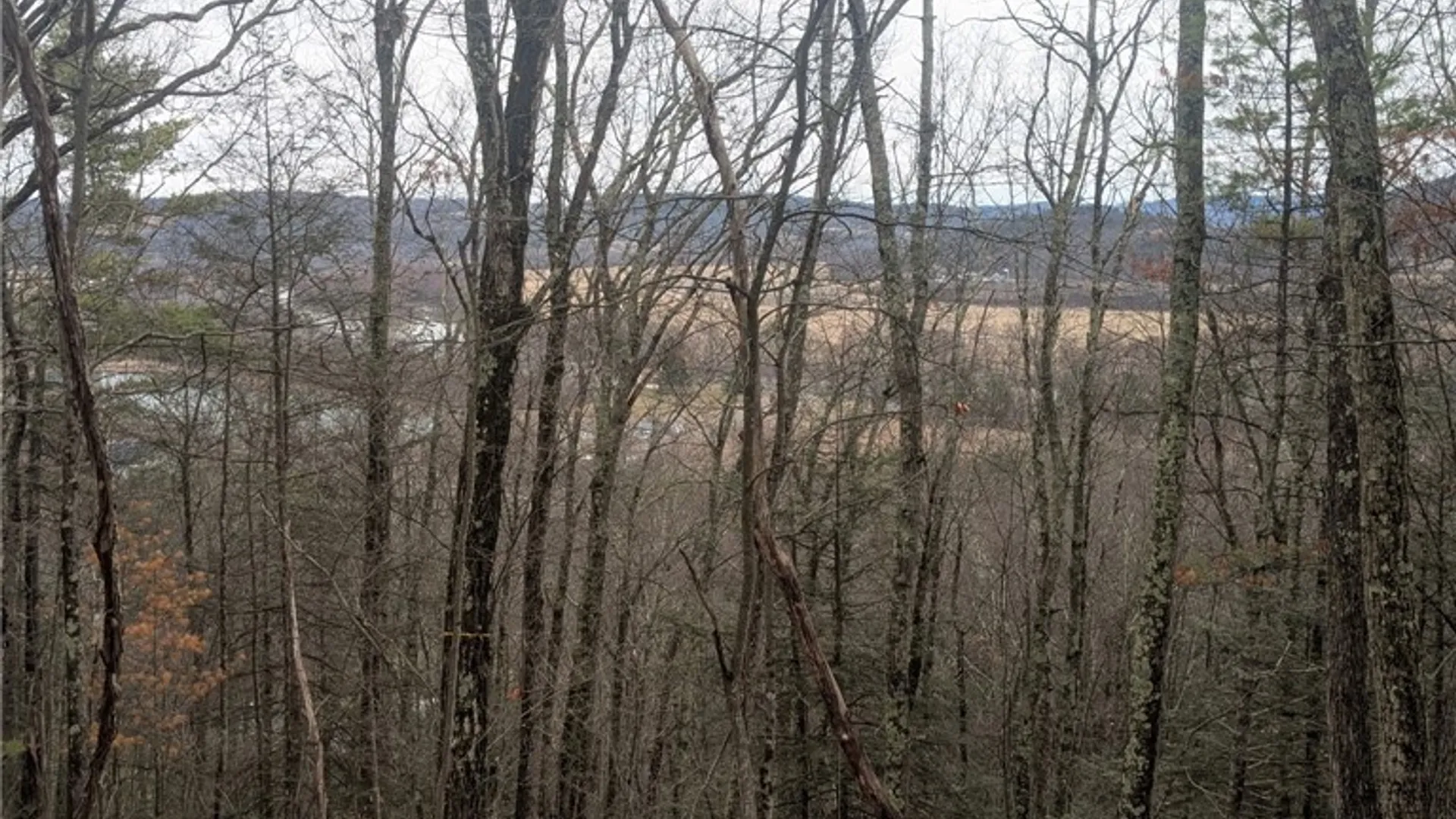 Property at 370 Ellis Creek Rd, Barton, NY 14892 23