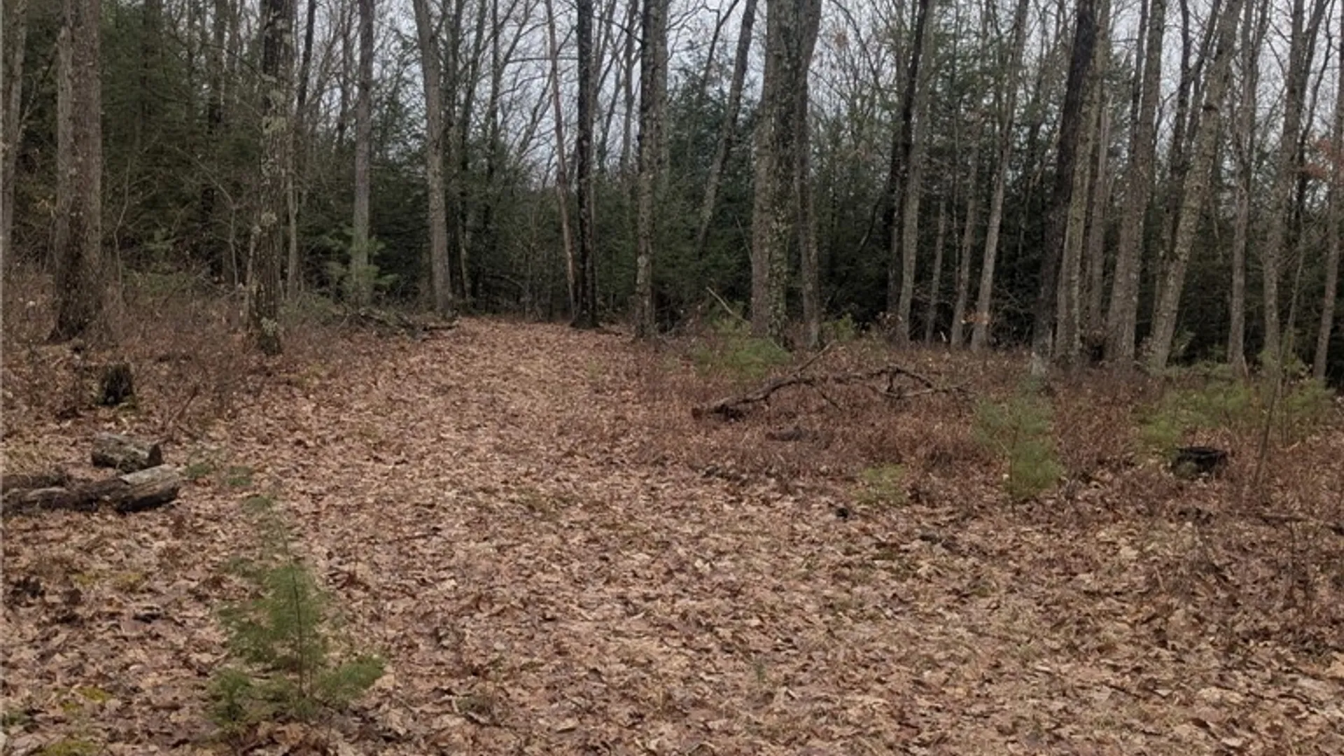 Property at 370 Ellis Creek Rd, Barton, NY 14892 24