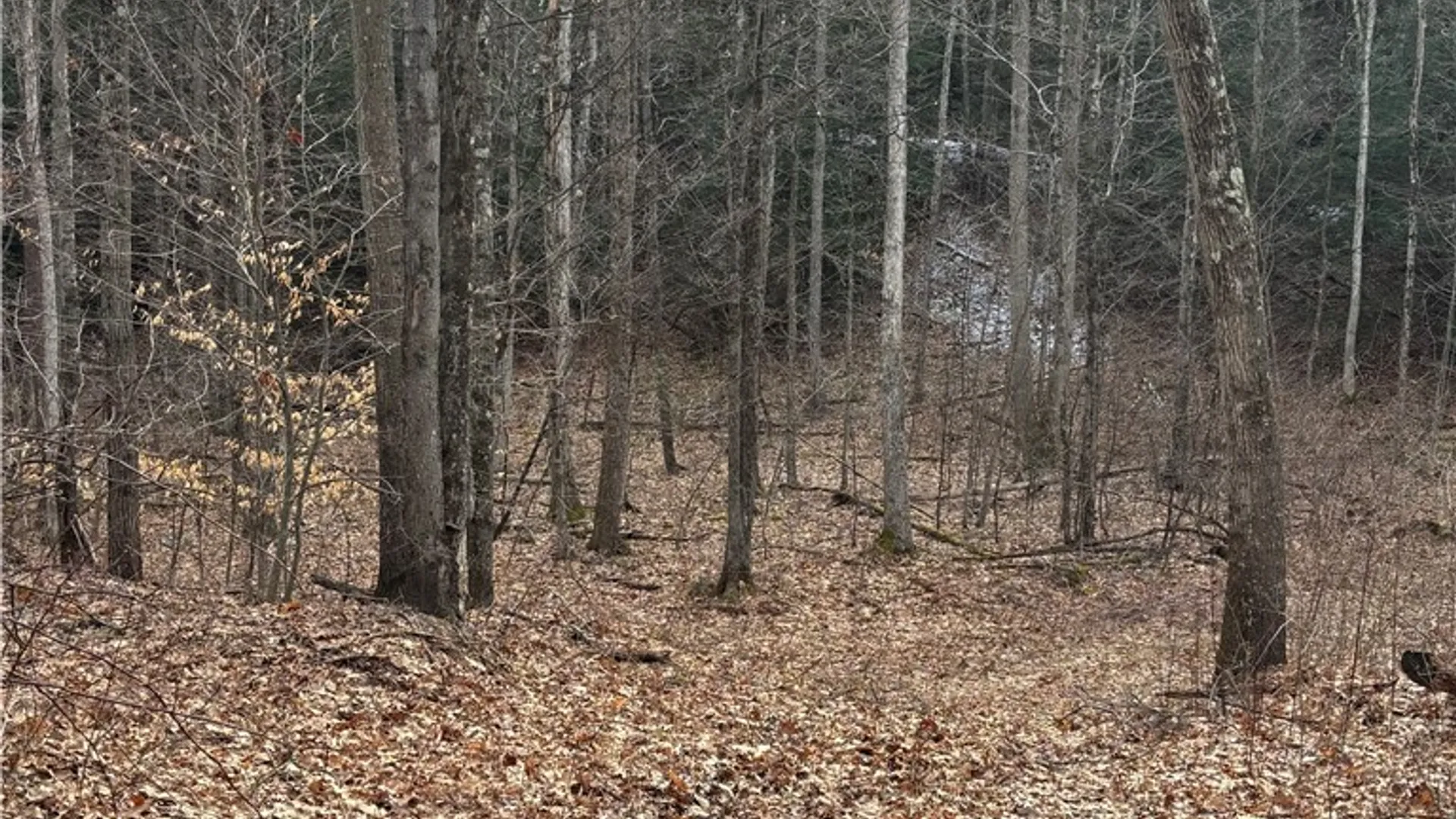 Property at 370 Ellis Creek Rd, Barton, NY 14892 4