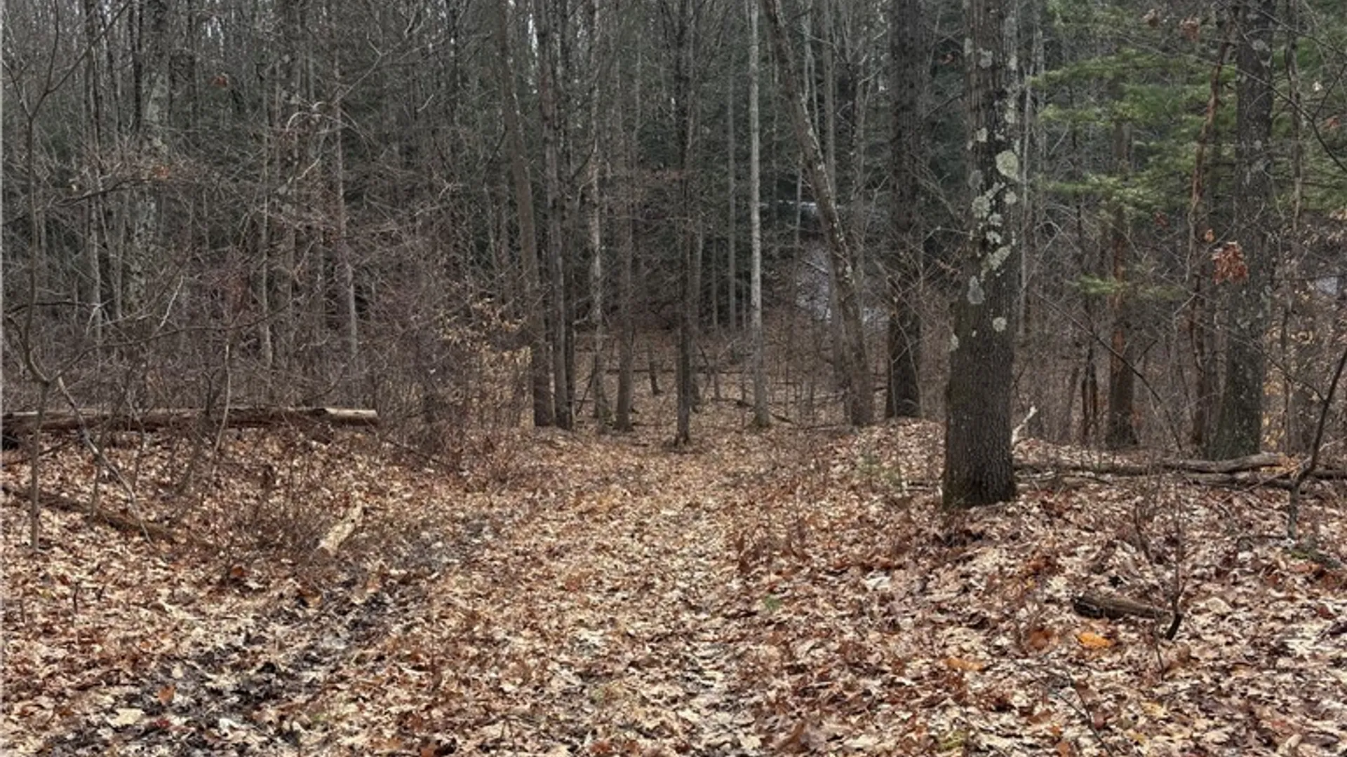 Property at 370 Ellis Creek Rd, Barton, NY 14892 5