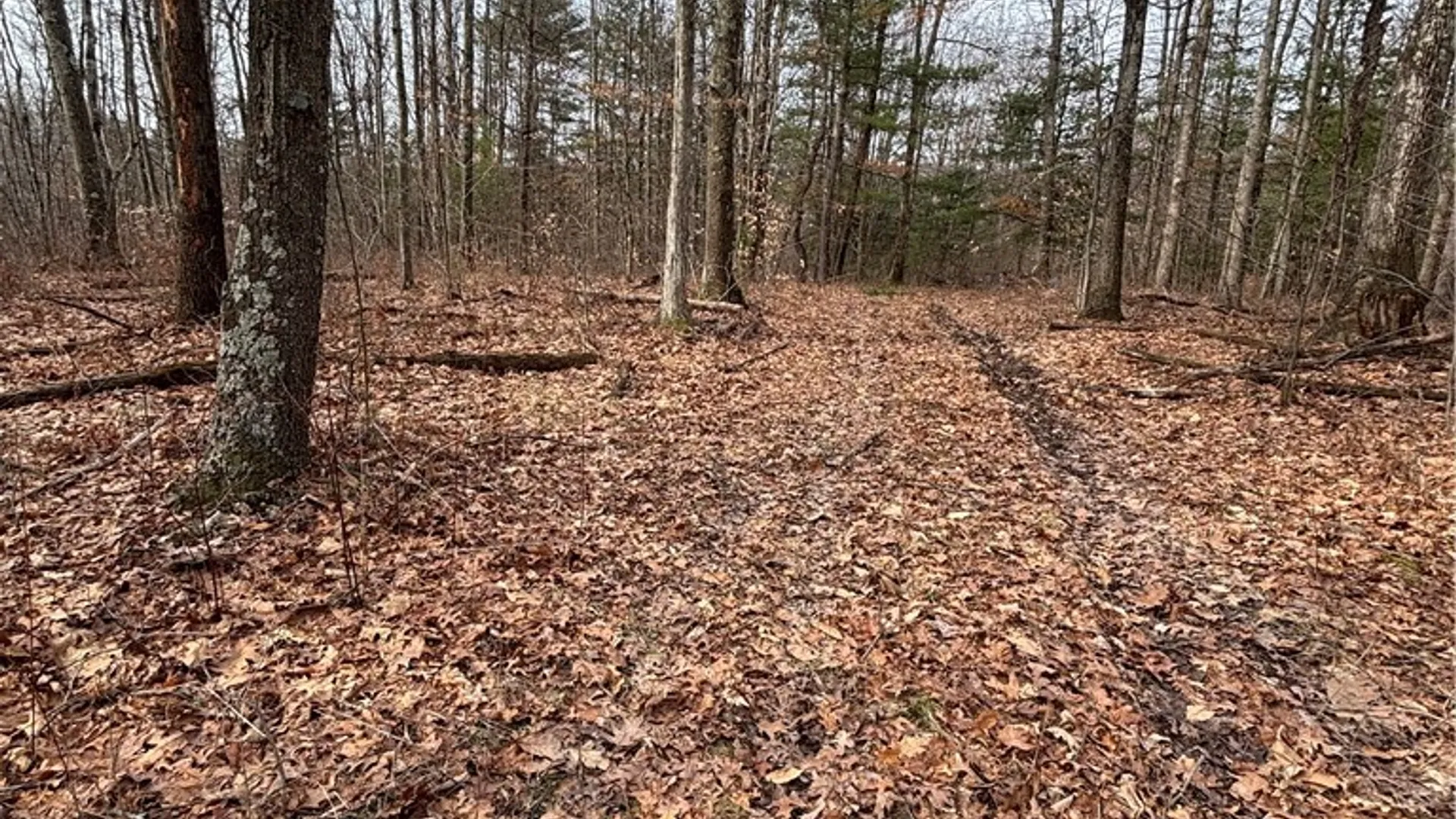 Property at 370 Ellis Creek Rd, Barton, NY 14892 6