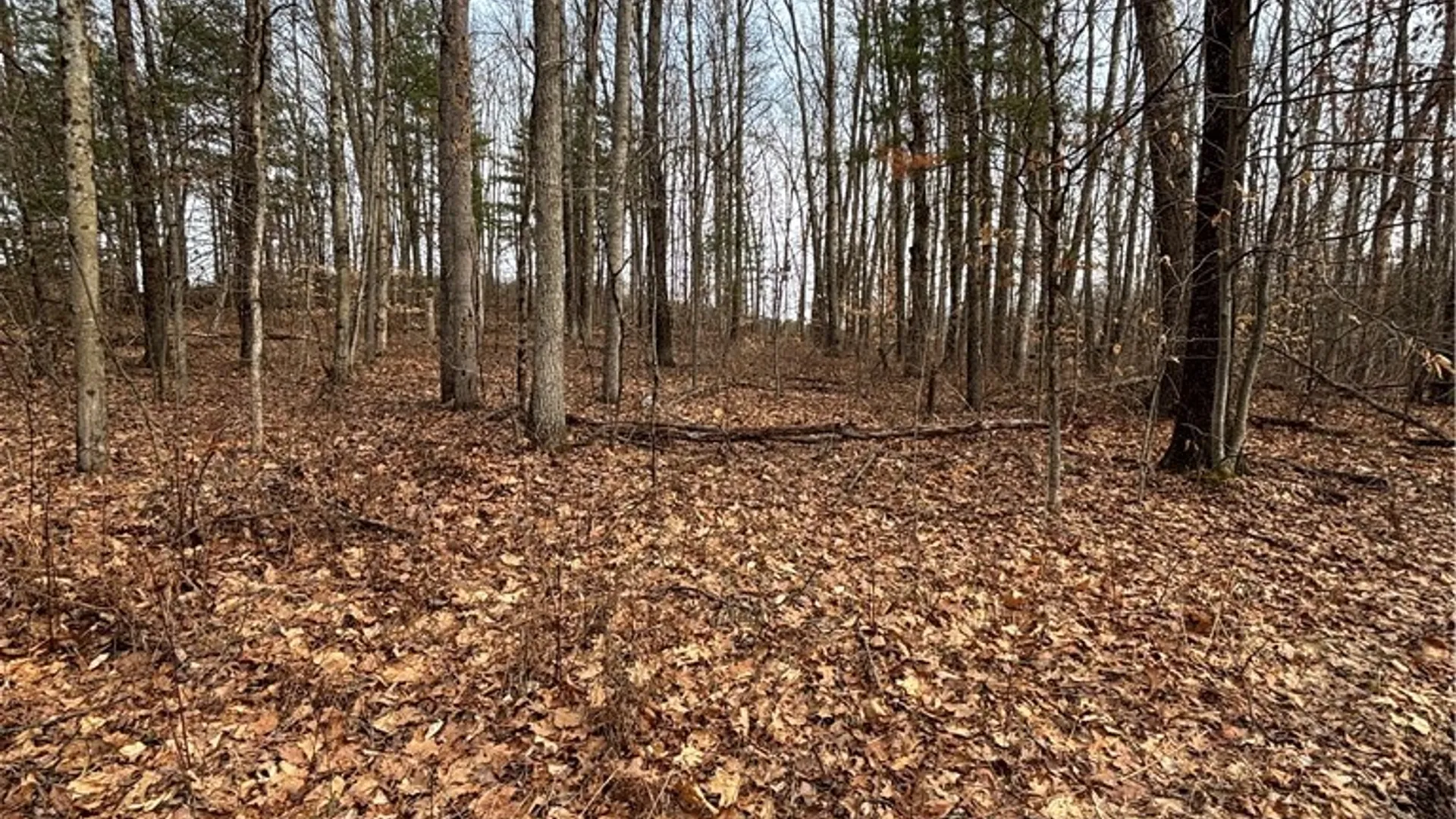 Property at 370 Ellis Creek Rd, Barton, NY 14892 7