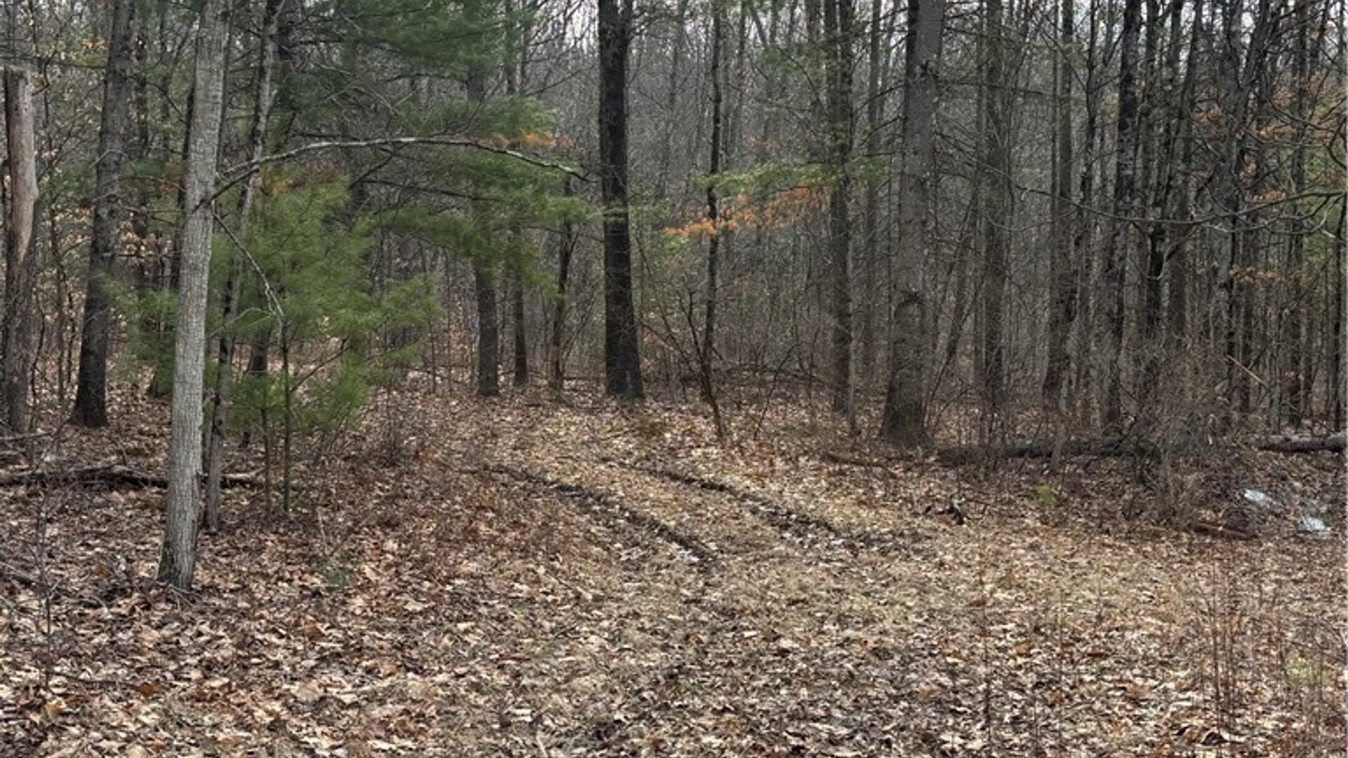 Property at 370 Ellis Creek Rd, Barton, NY 14892 8