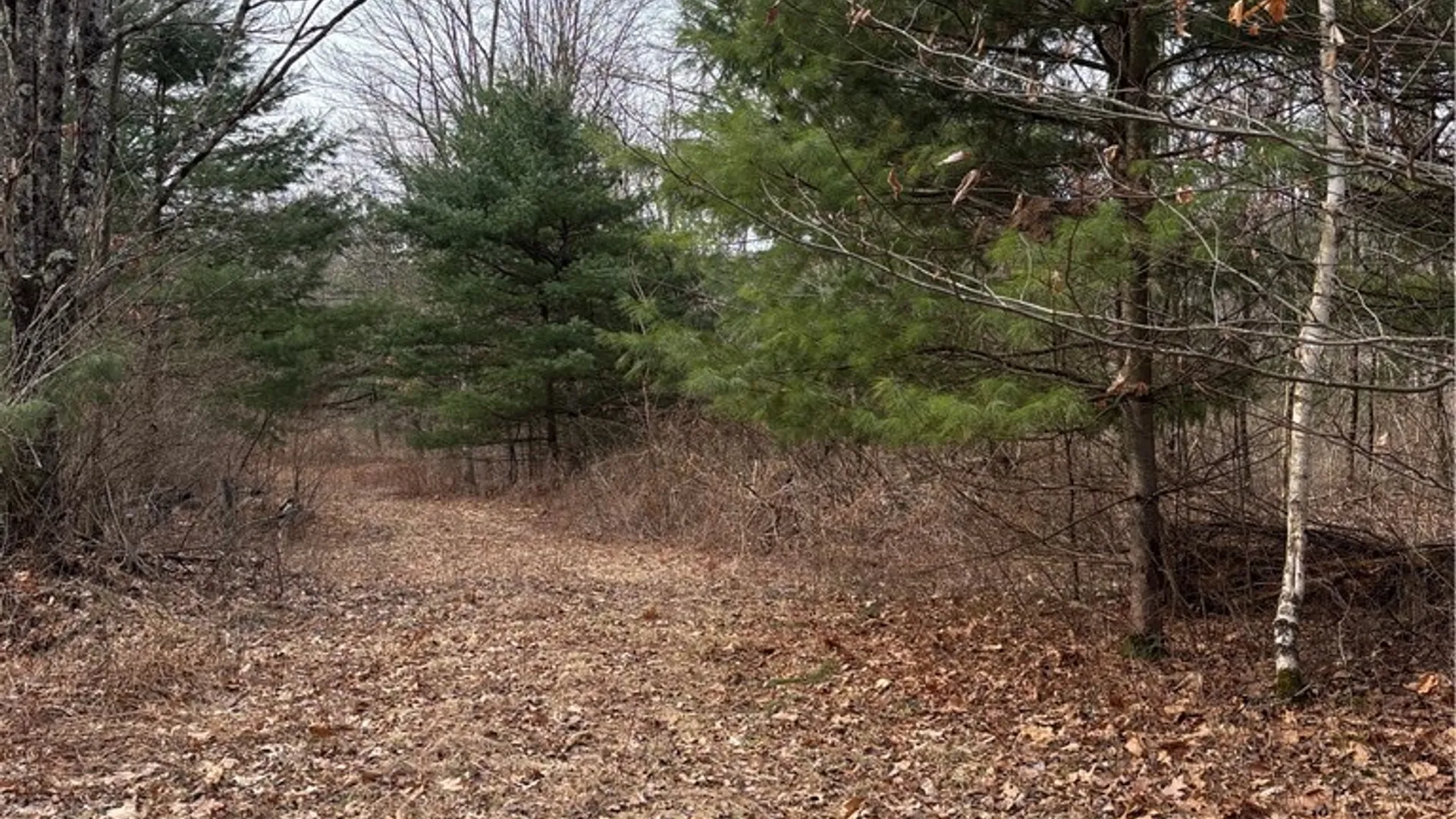 Property at 370 Ellis Creek Rd, Barton, NY 14892 9