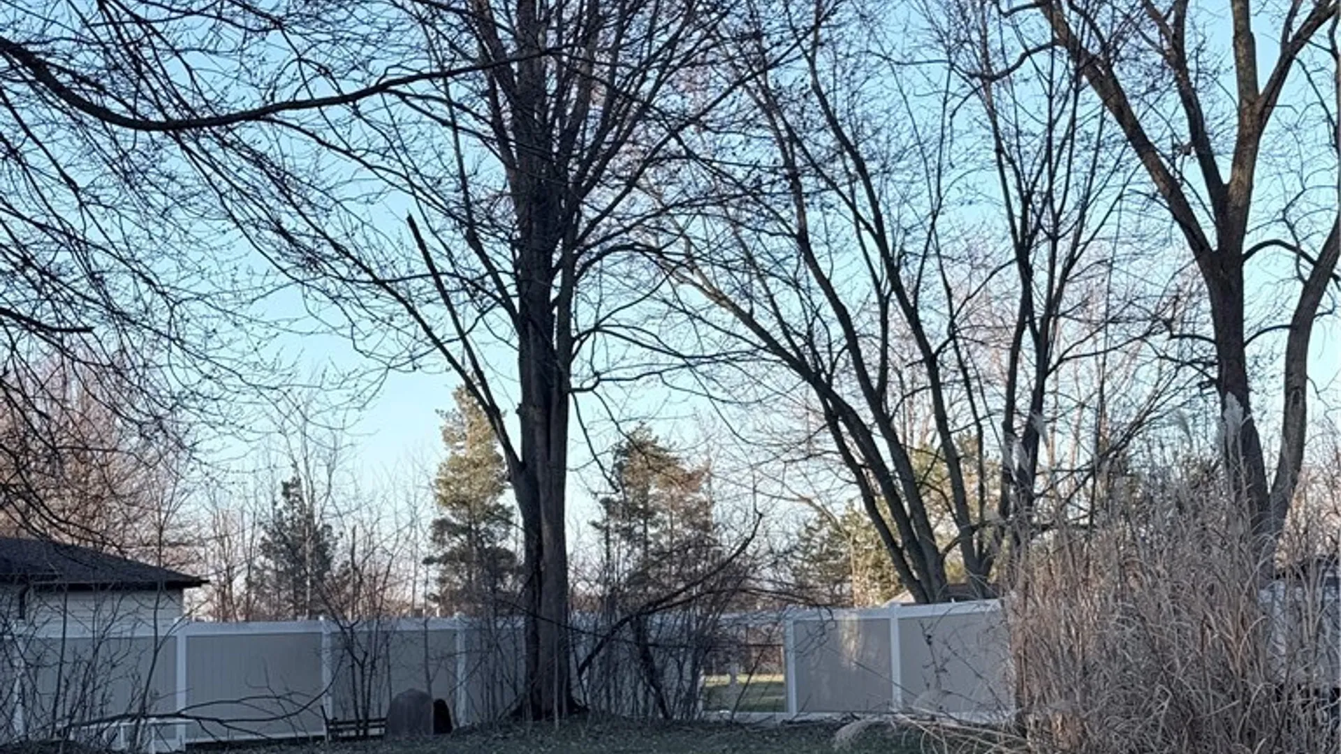 Property at 238 Schultz Road, West Seneca, NY 14224 6