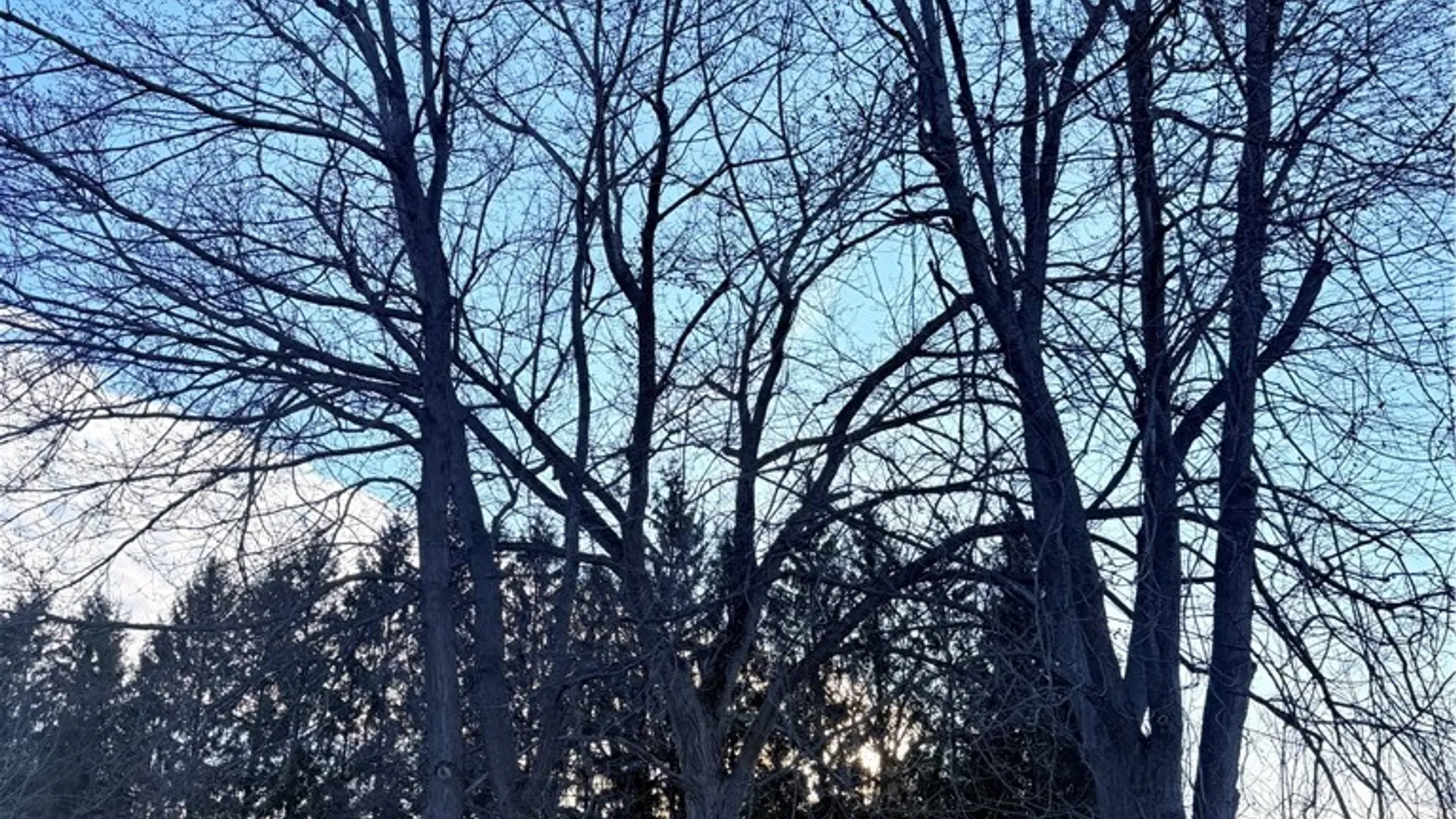 Property at 238 Schultz Road, West Seneca, NY 14224 7