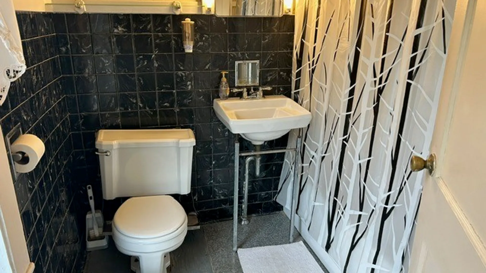 Property at 1117 Ithaca Road, Candor, NY 13864 13