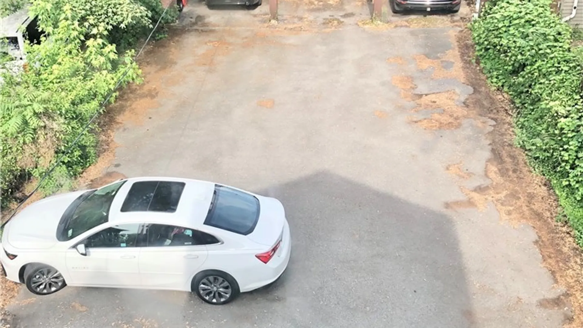 Property at 83 Norwood Avenue, Buffalo, NY 14222 9