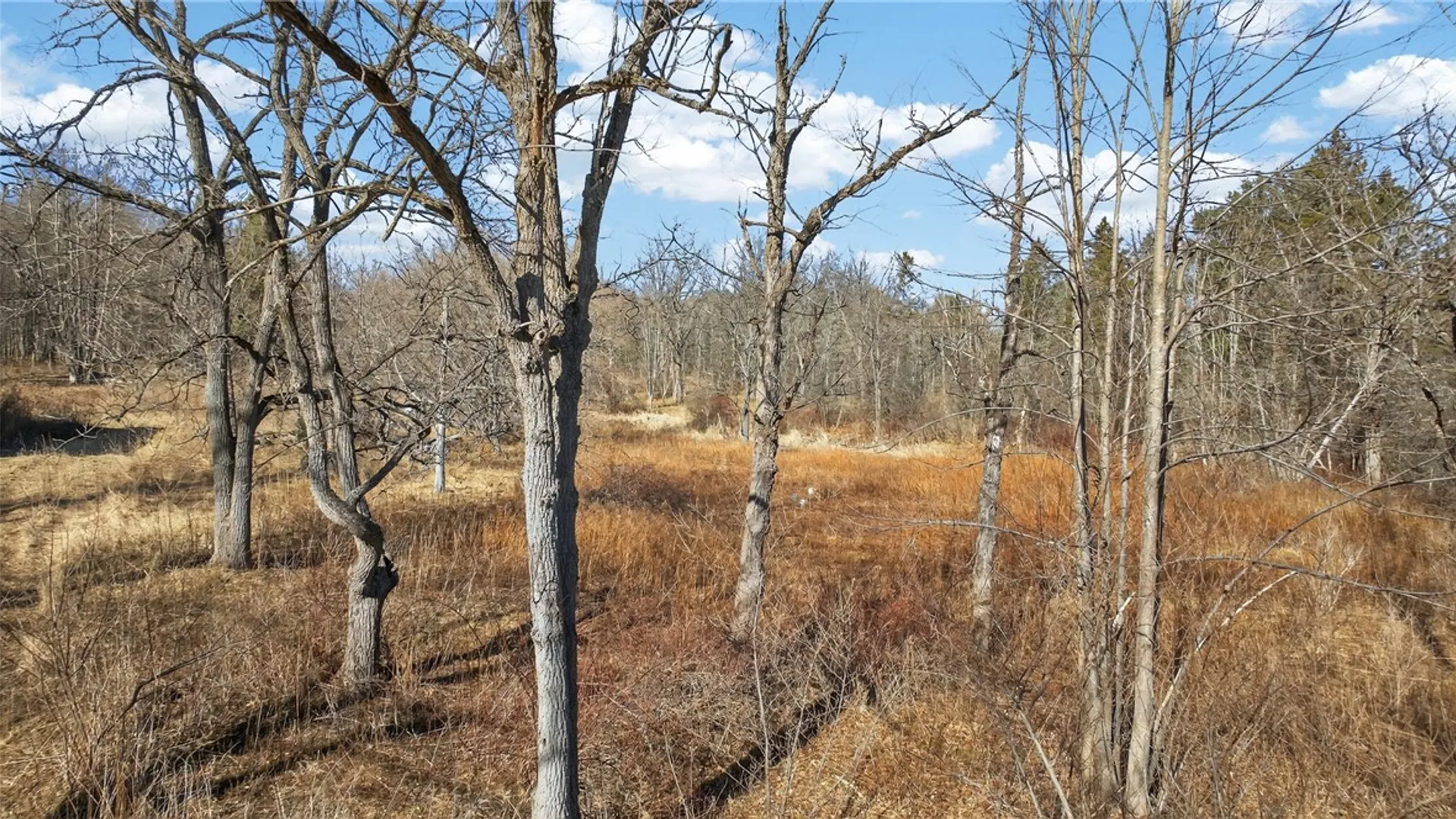 Property at 4786 Italy Hill Road, Jerusalem, NY 14418 15