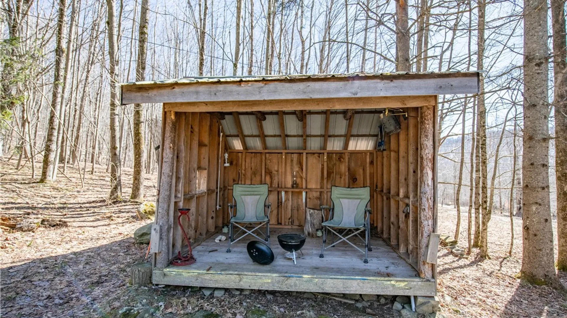 Property at 66 Blackberry Lane, Andes, NY 13731 15