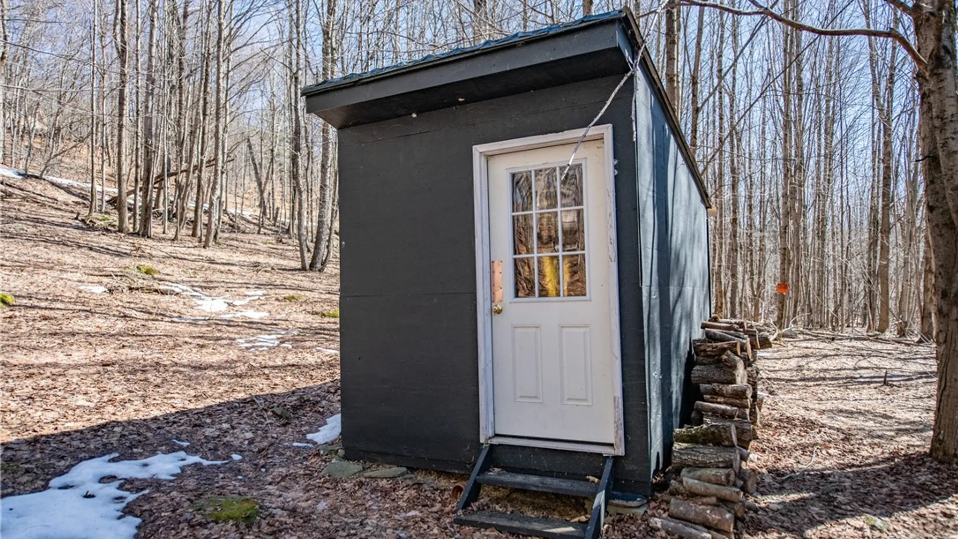 Property at 66 Blackberry Lane, Andes, NY 13731 16