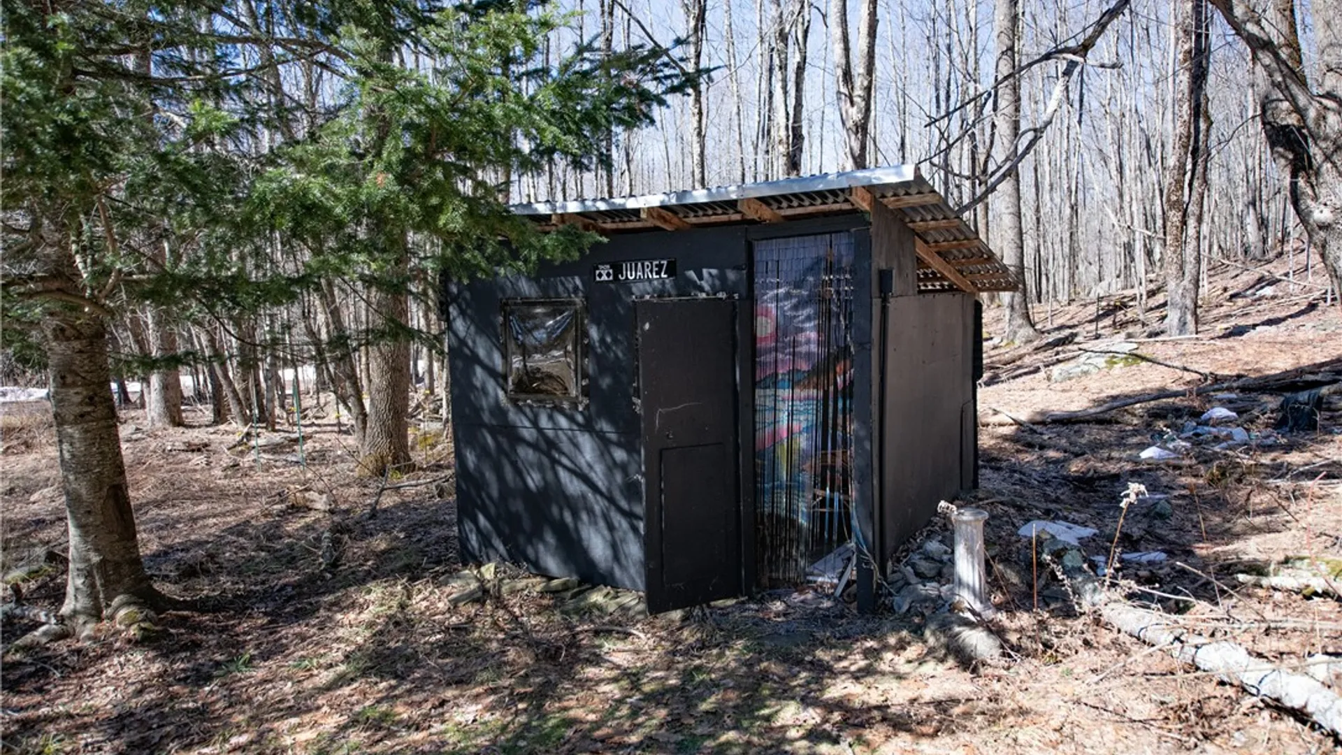 Property at 66 Blackberry Lane, Andes, NY 13731 19