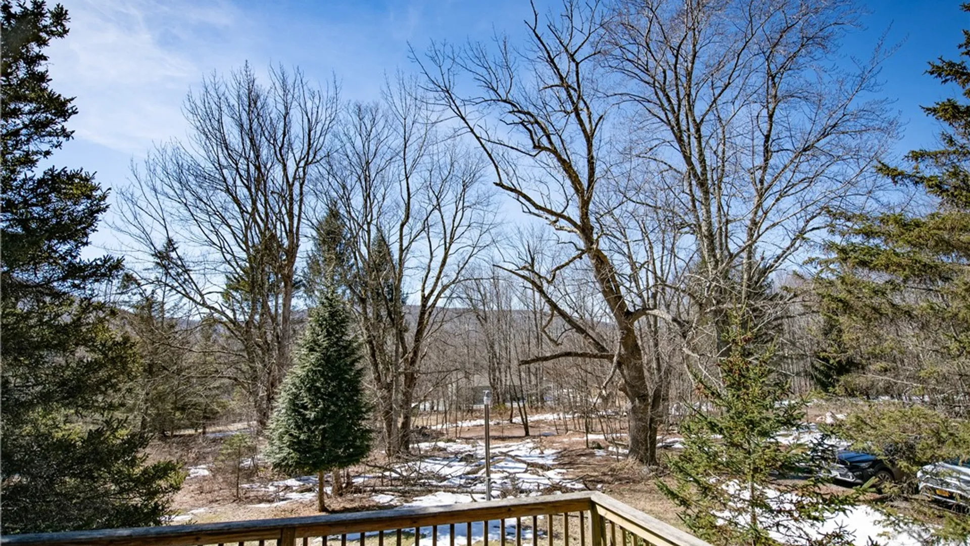 Property at 66 Blackberry Lane, Andes, NY 13731 22