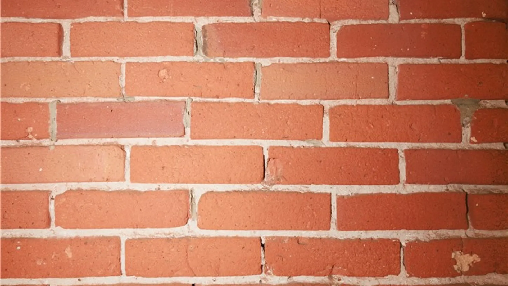 Property at 444 Central Avenue, Rochester, NY 14605 22