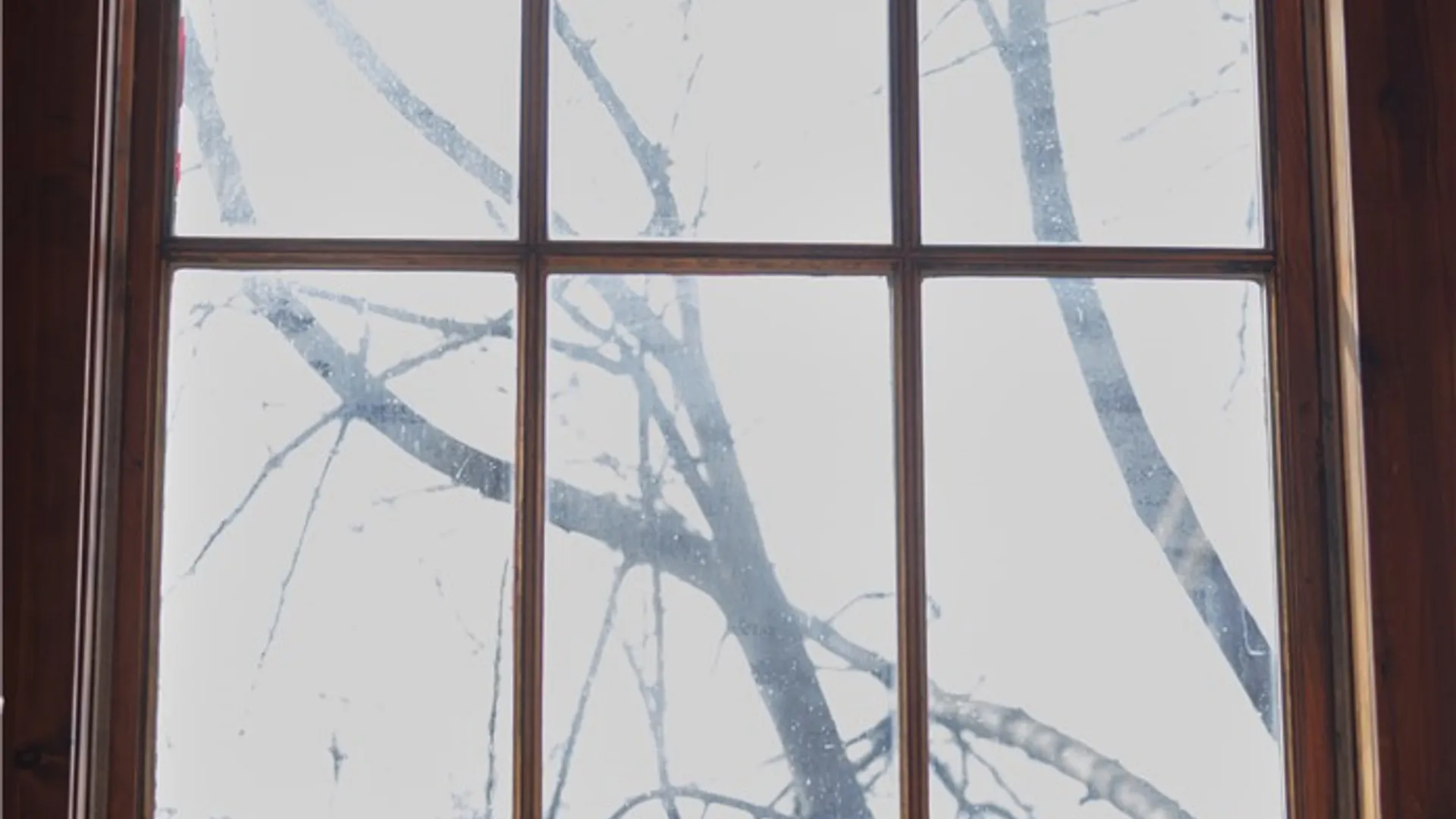 Property at 444 Central Avenue, Rochester, NY 14605 36