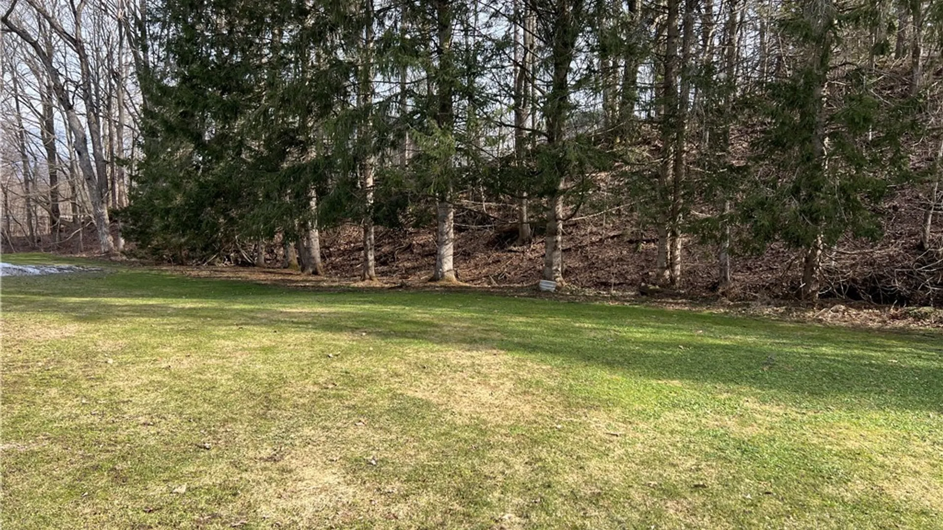 Property at 7259 Main Street, Pike, NY 14066 10