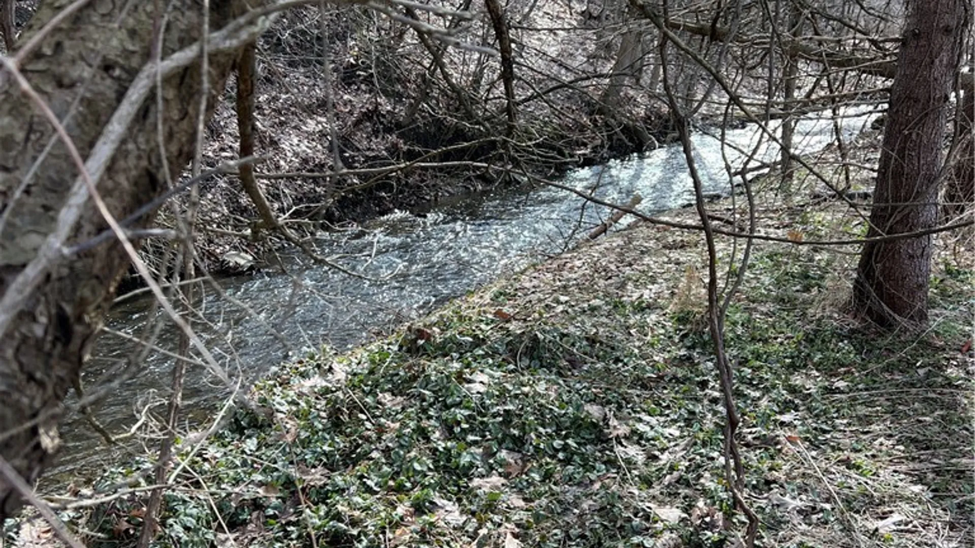 Property at 7259 Main Street, Pike, NY 14066 11