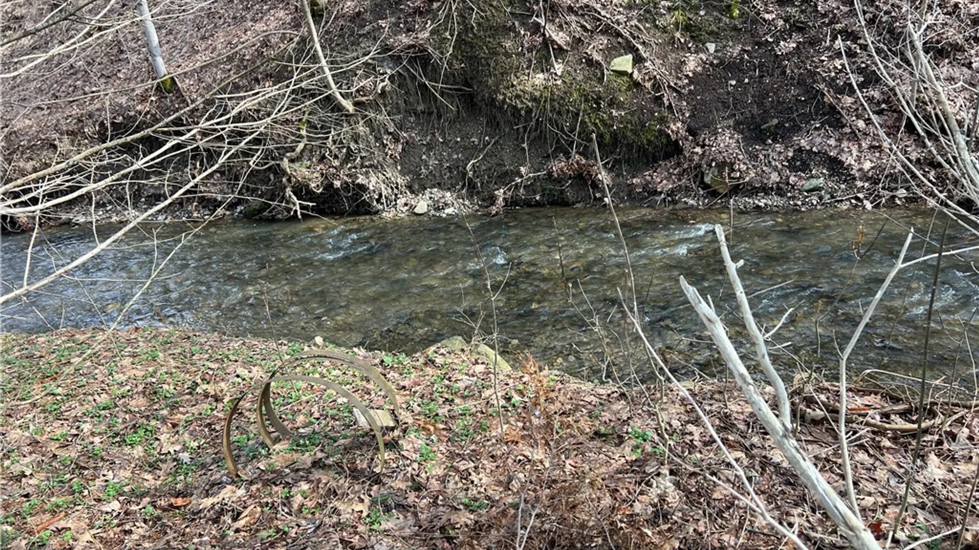 Property at 7259 Main Street, Pike, NY 14066 12