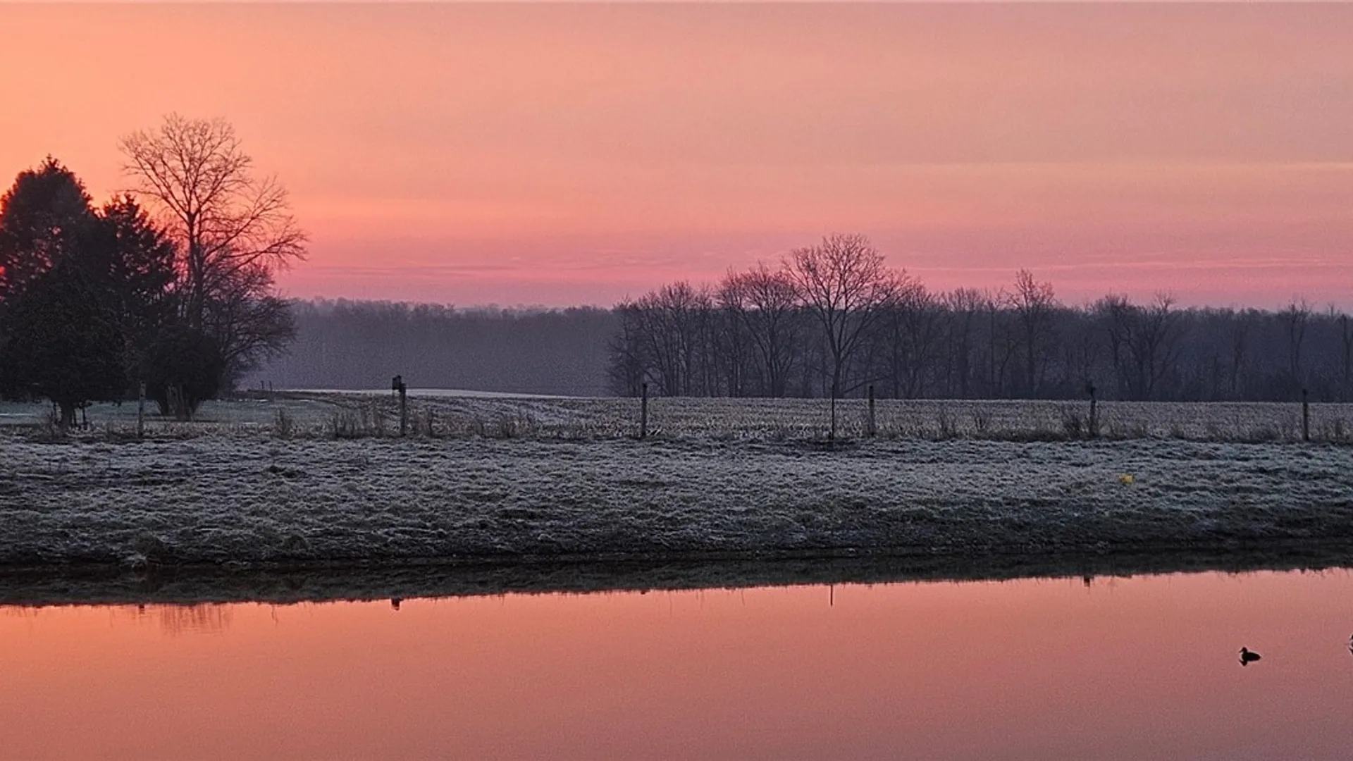 Property at 2890 Jorolemon Road, Cato, NY 13166 15