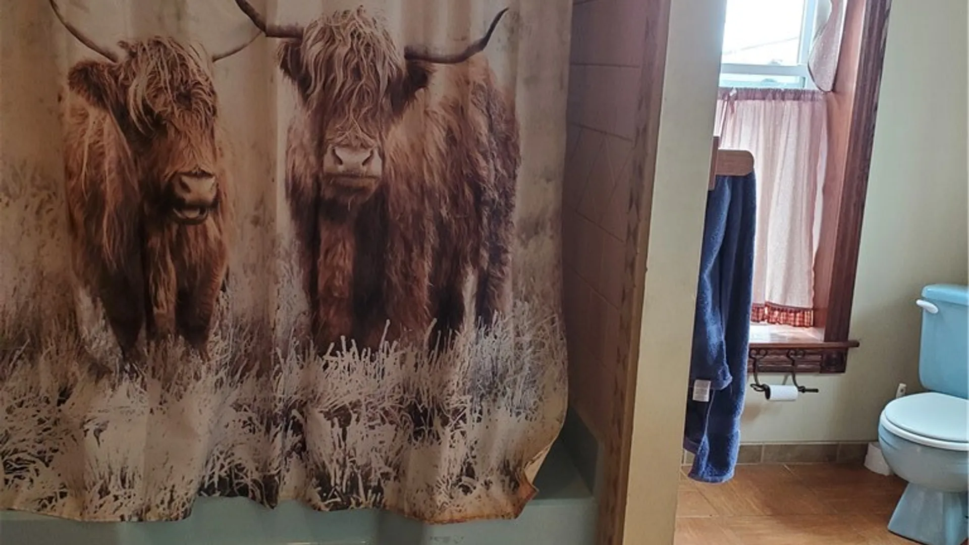 Property at 2890 Jorolemon Road, Cato, NY 13166 38