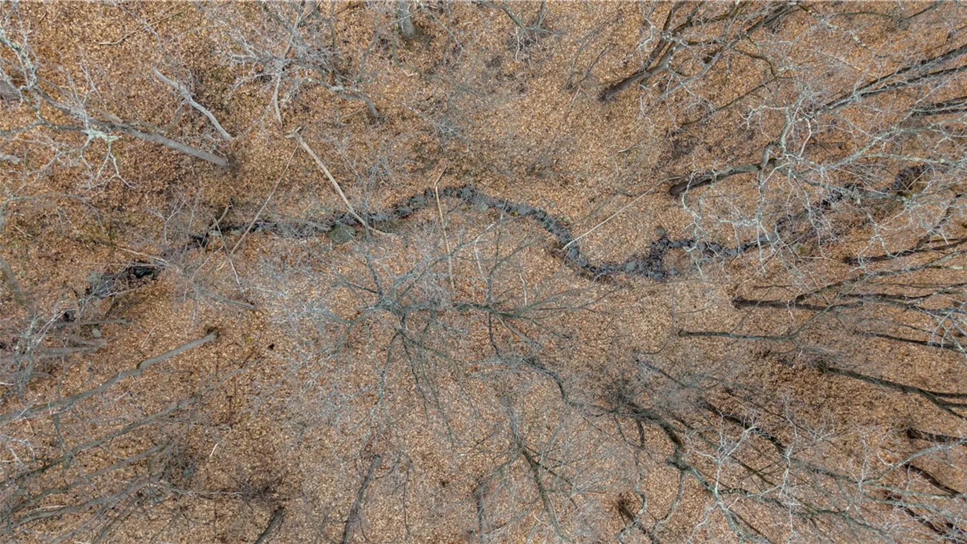 Property at RT 21, Naples, NY 14512 10