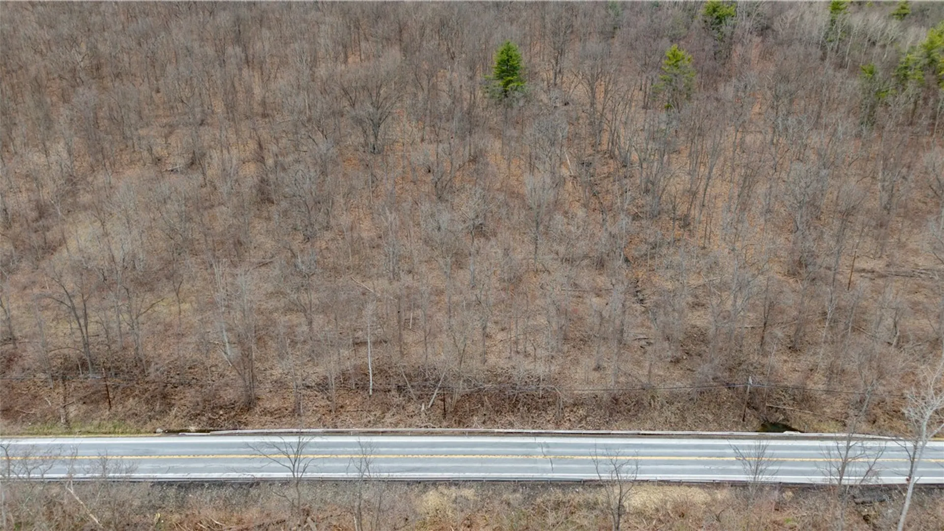 Property at RT 21, Naples, NY 14512 11