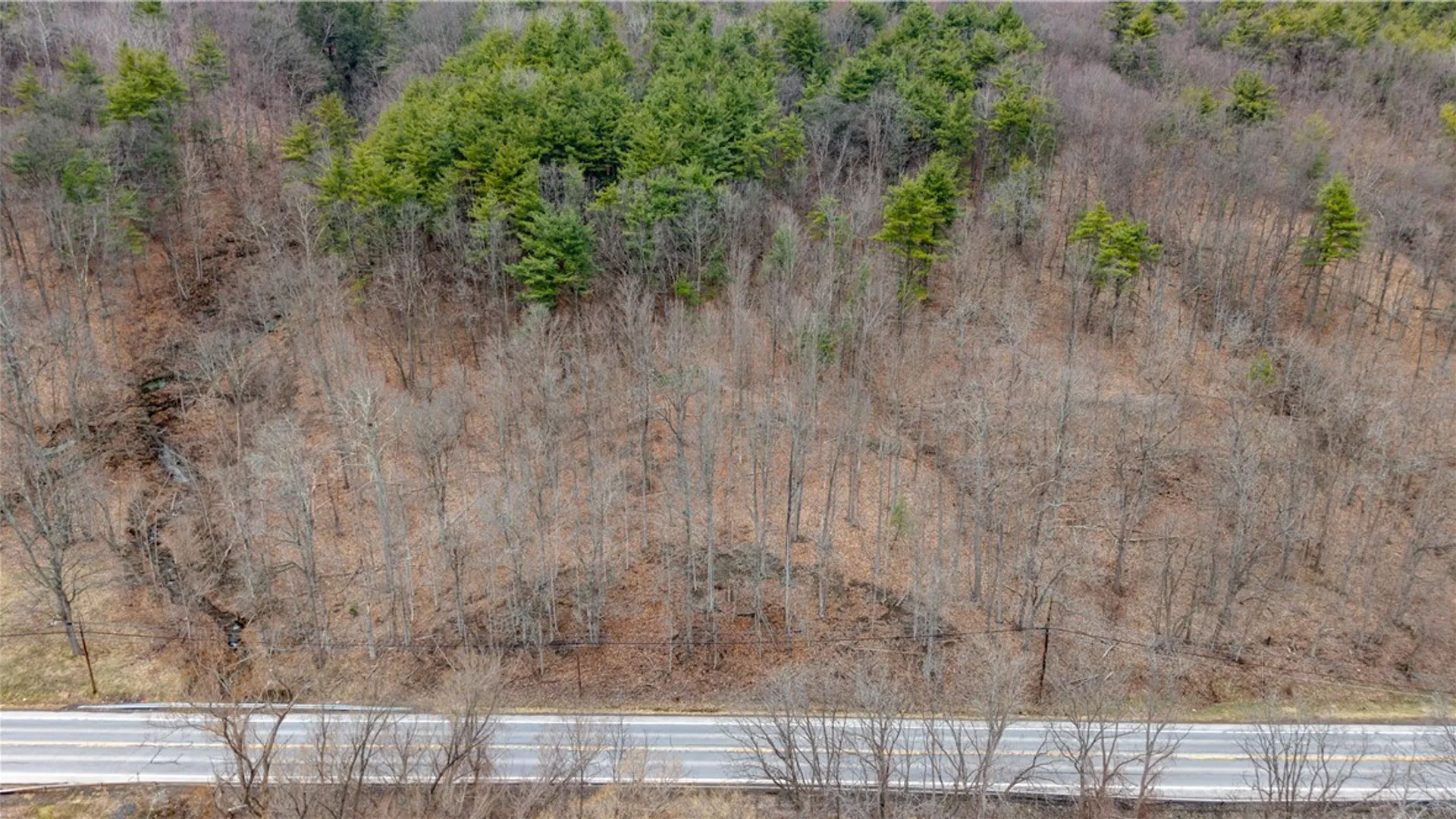 Property at RT 21, Naples, NY 14512 13