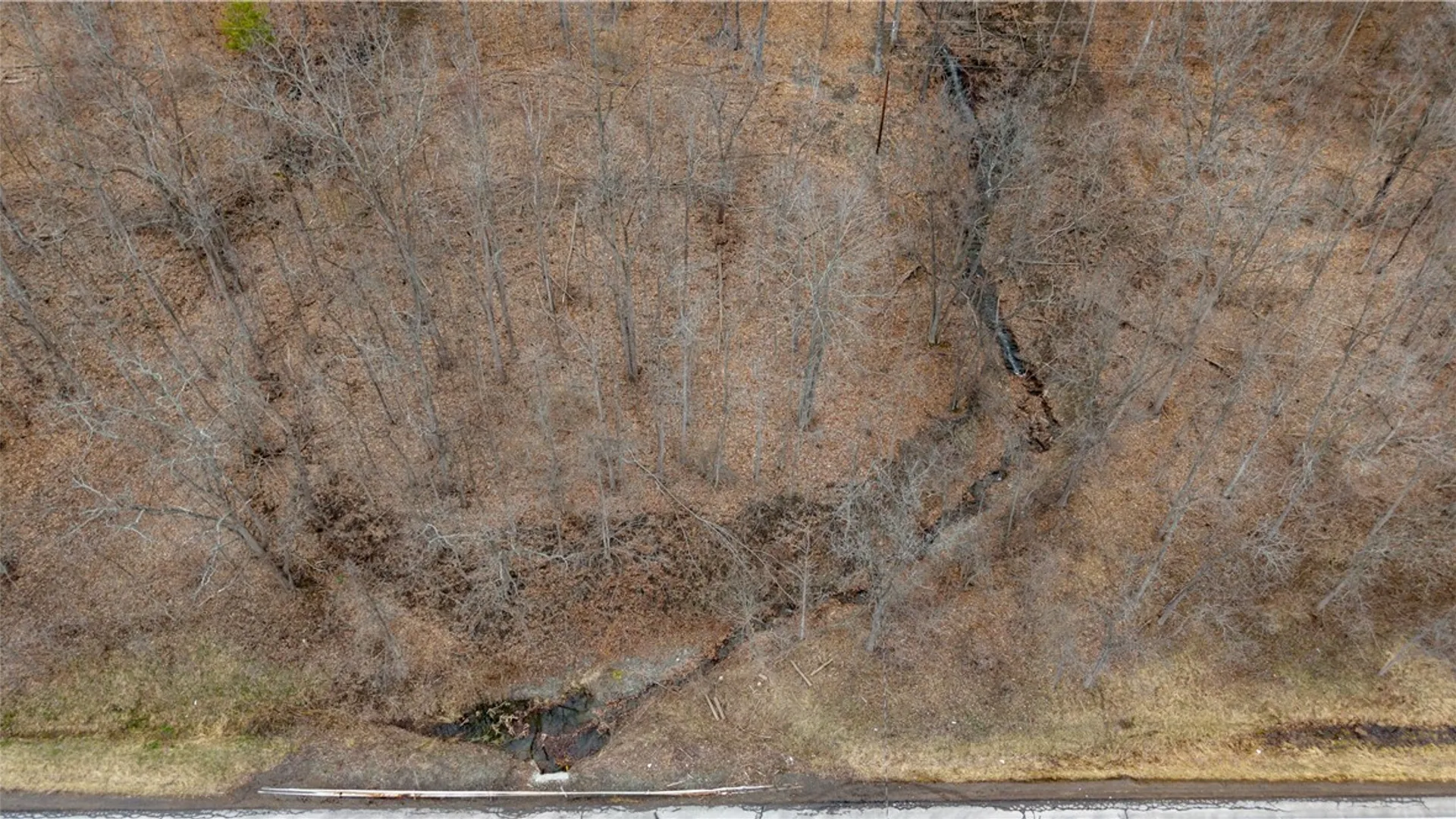 Property at RT 21, Naples, NY 14512 15