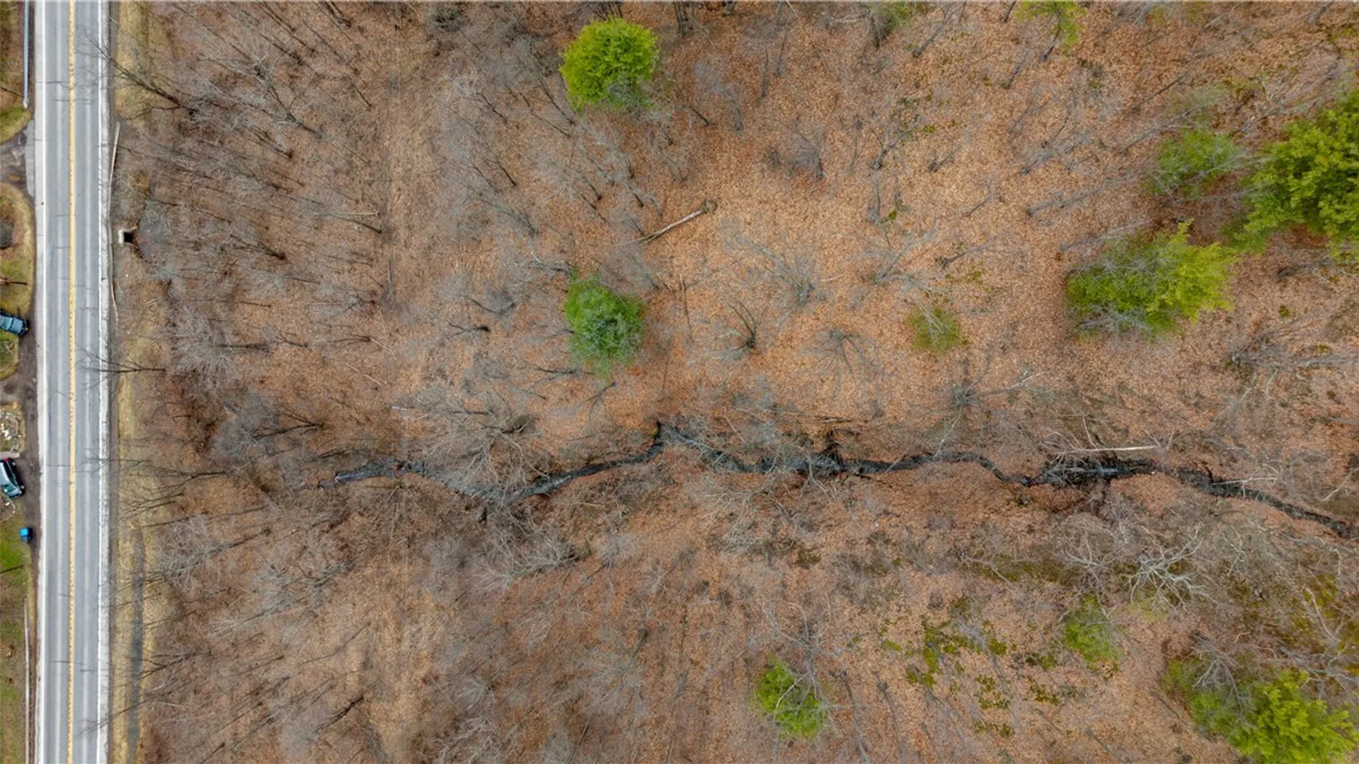 Property at RT 21, Naples, NY 14512 16