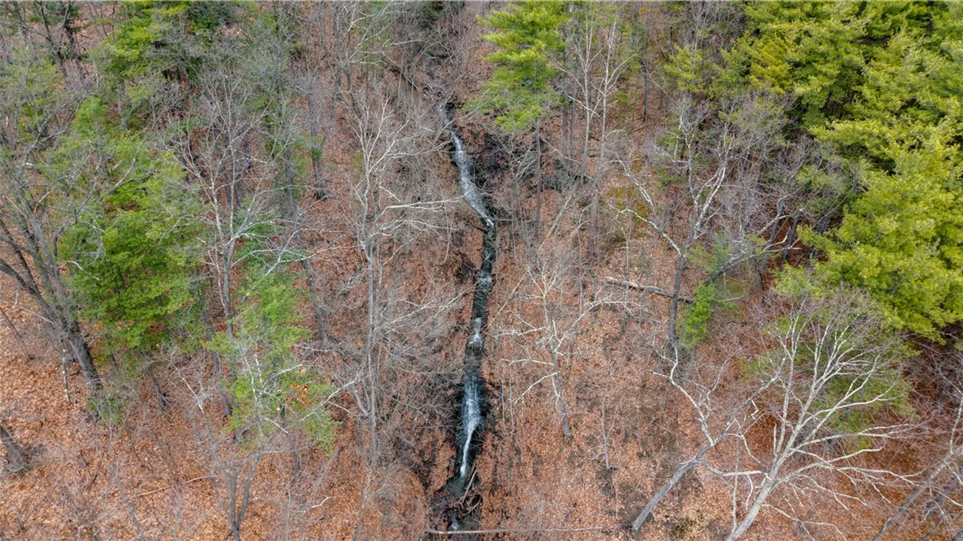 Property at RT 21, Naples, NY 14512 19