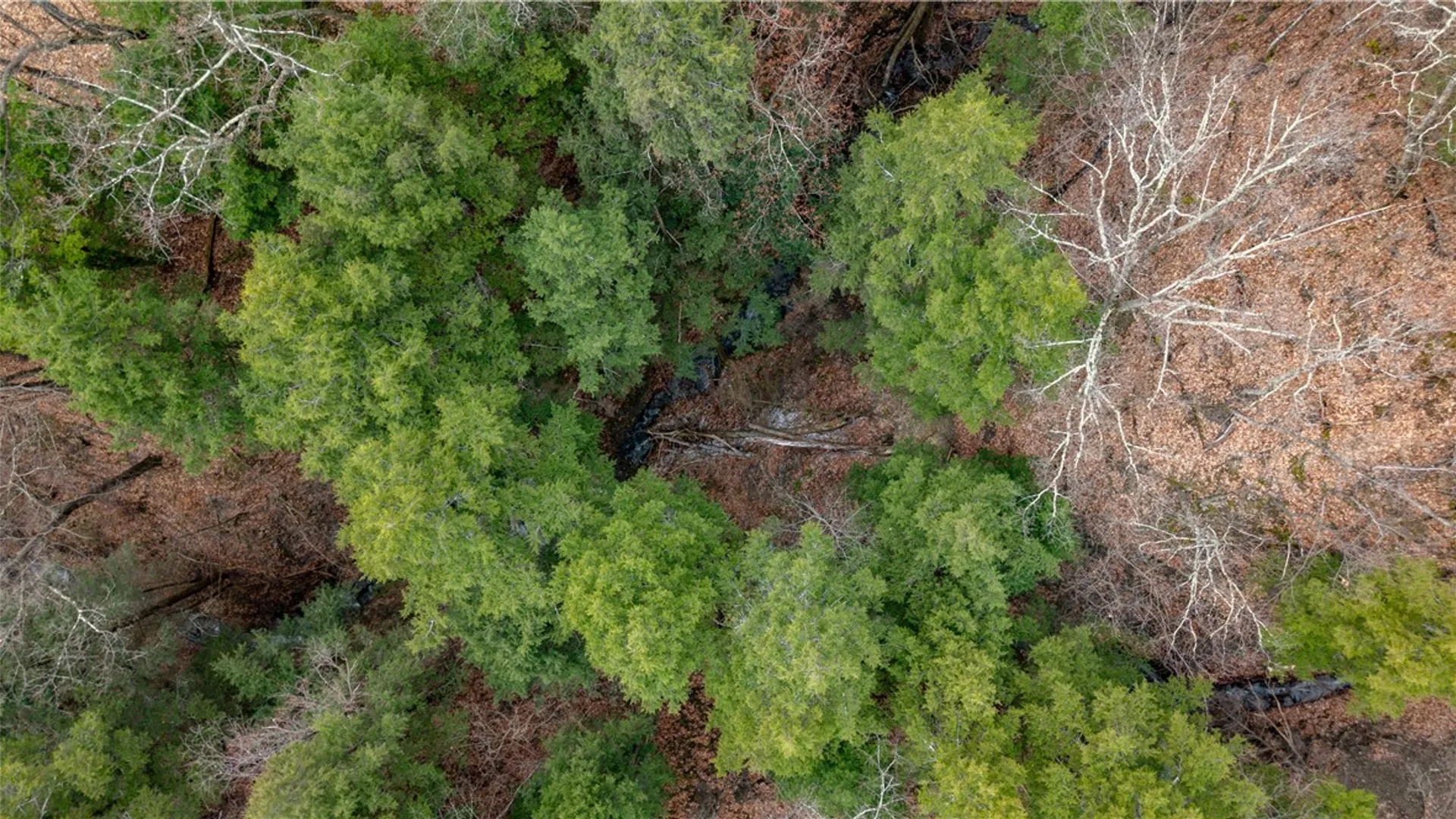 Property at RT 21, Naples, NY 14512 22