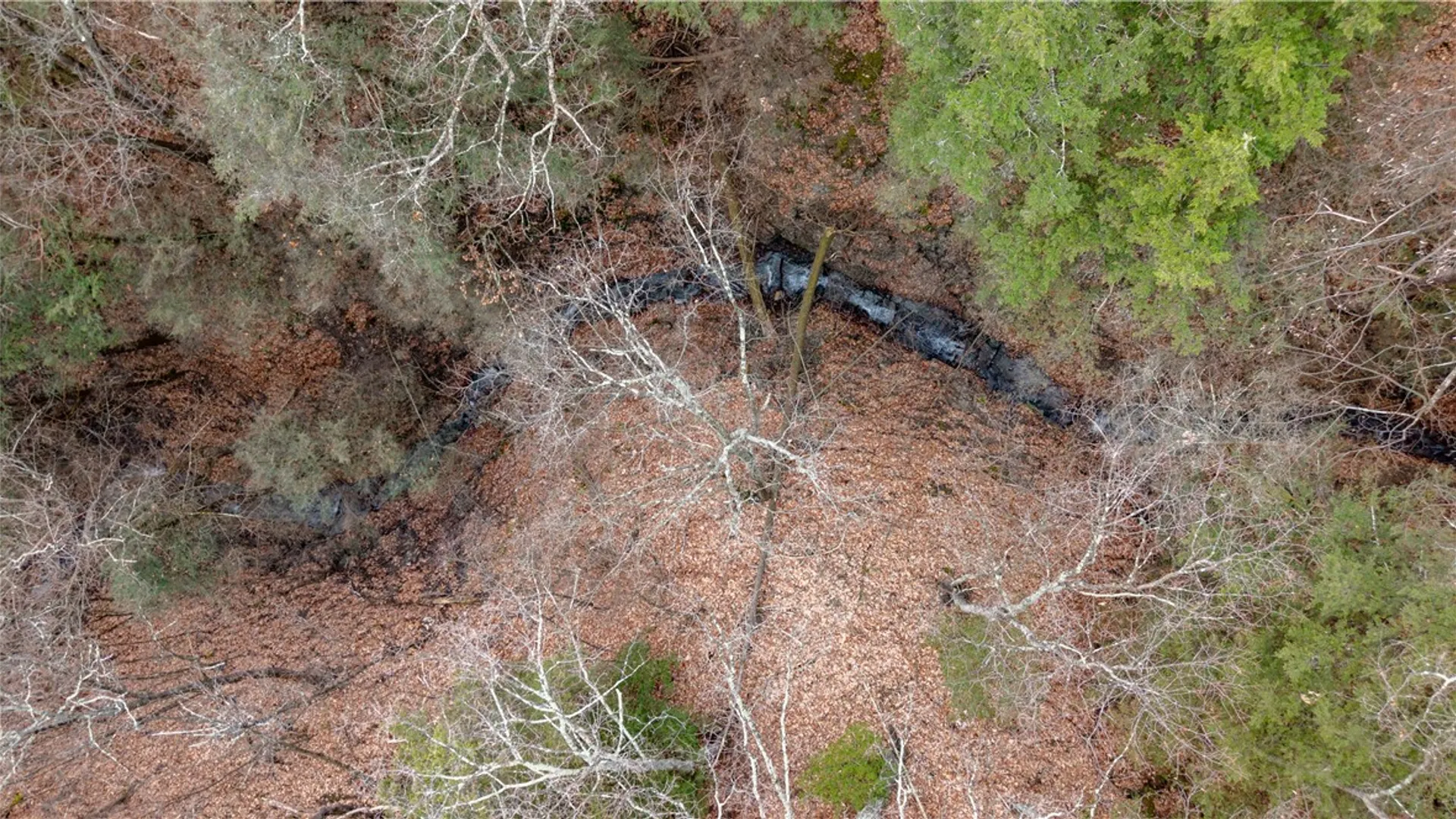 Property at RT 21, Naples, NY 14512 23