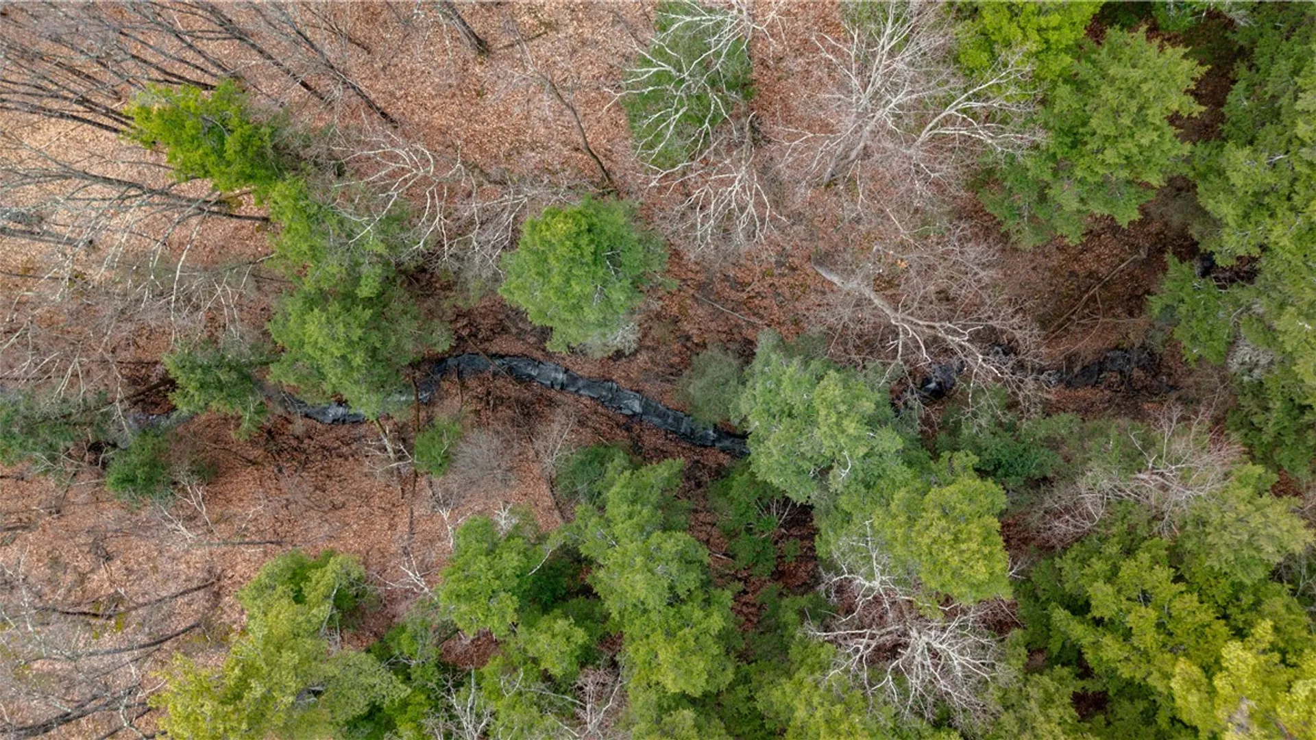 Property at RT 21, Naples, NY 14512 24