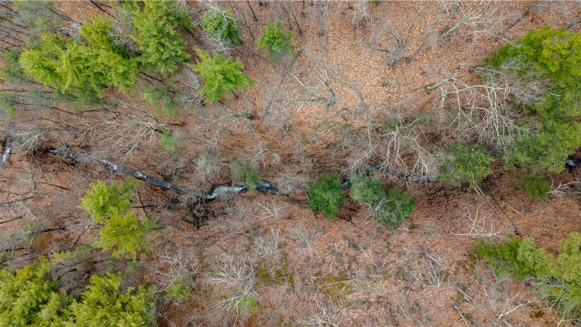 Property at RT 21, Naples, NY 14512 25