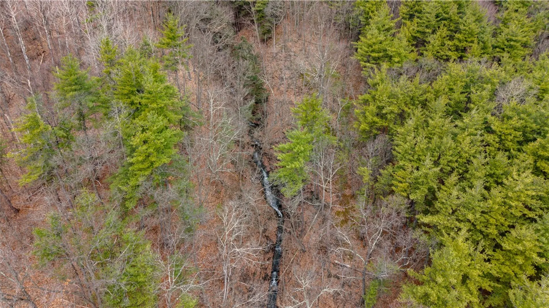 Property at RT 21, Naples, NY 14512 28