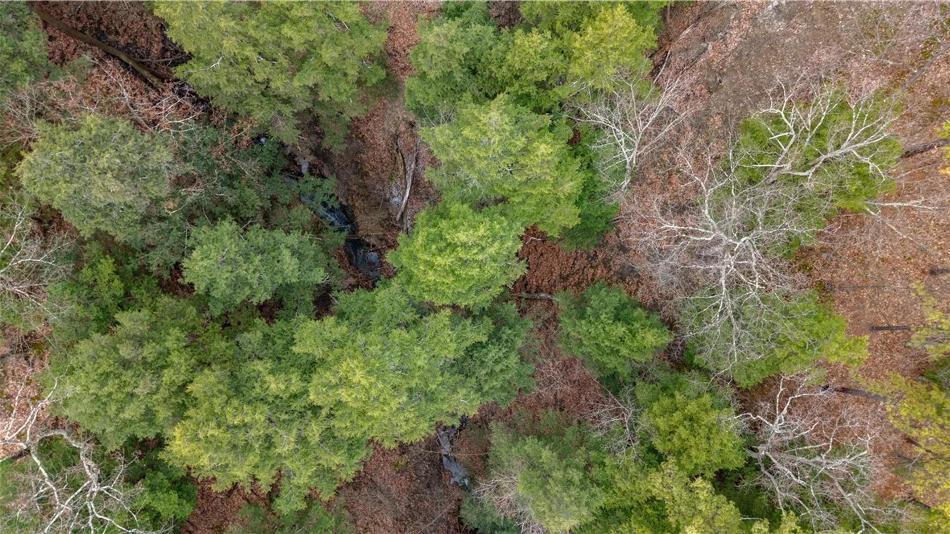 Property at RT 21, Naples, NY 14512 29