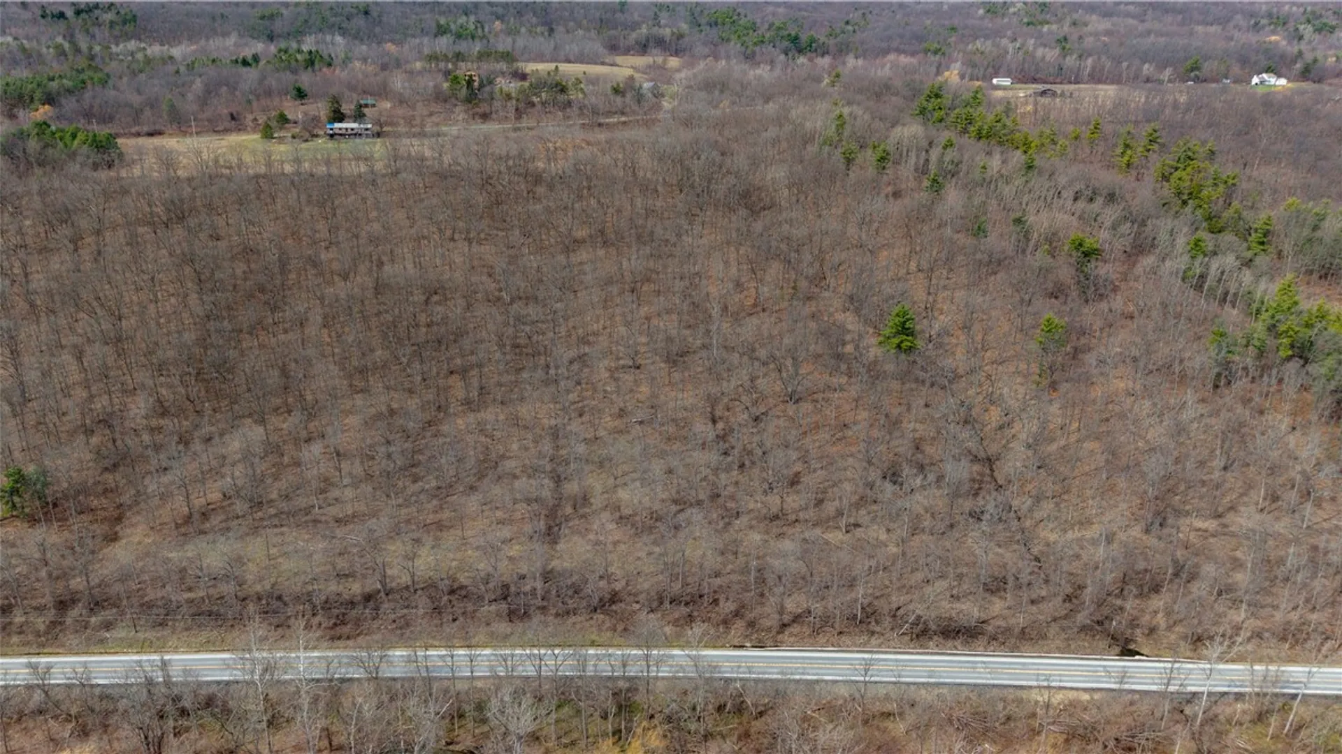 Property at RT 21, Naples, NY 14512 37