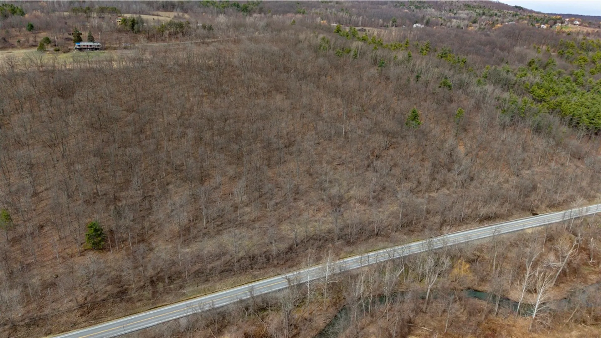 Property at RT 21, Naples, NY 14512 38