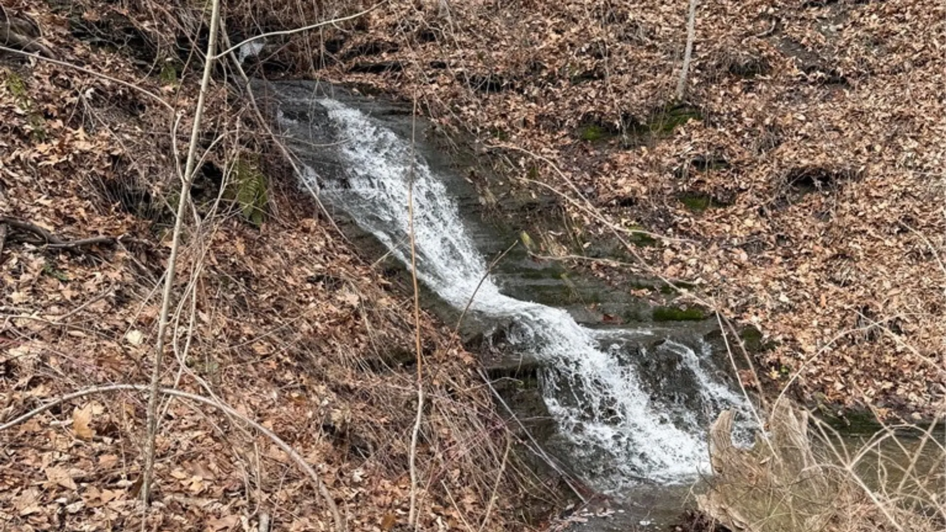 Property at RT 21, Naples, NY 14512 40