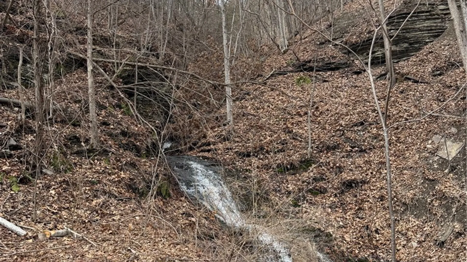 Property at RT 21, Naples, NY 14512 41