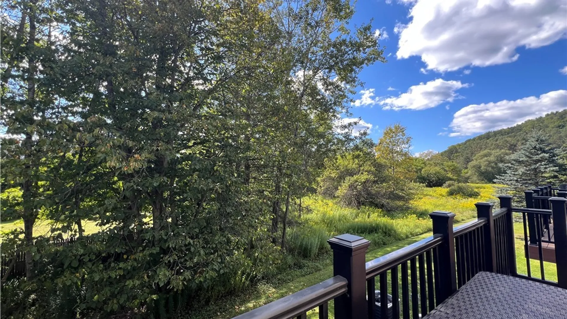 Property at 13 Ellicottvillas, Ellicottville, NY 14731 27