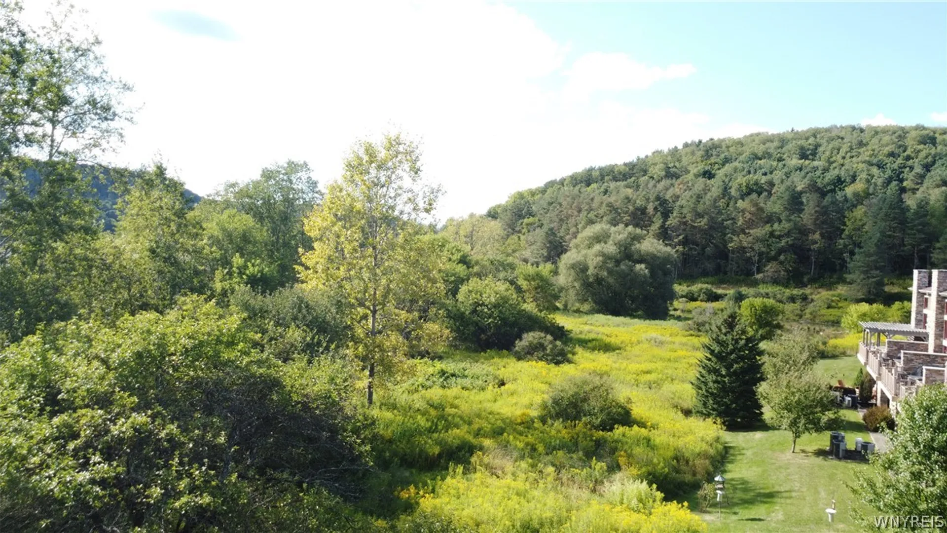 Property at 13 Ellicottvillas, Ellicottville, NY 14731 4