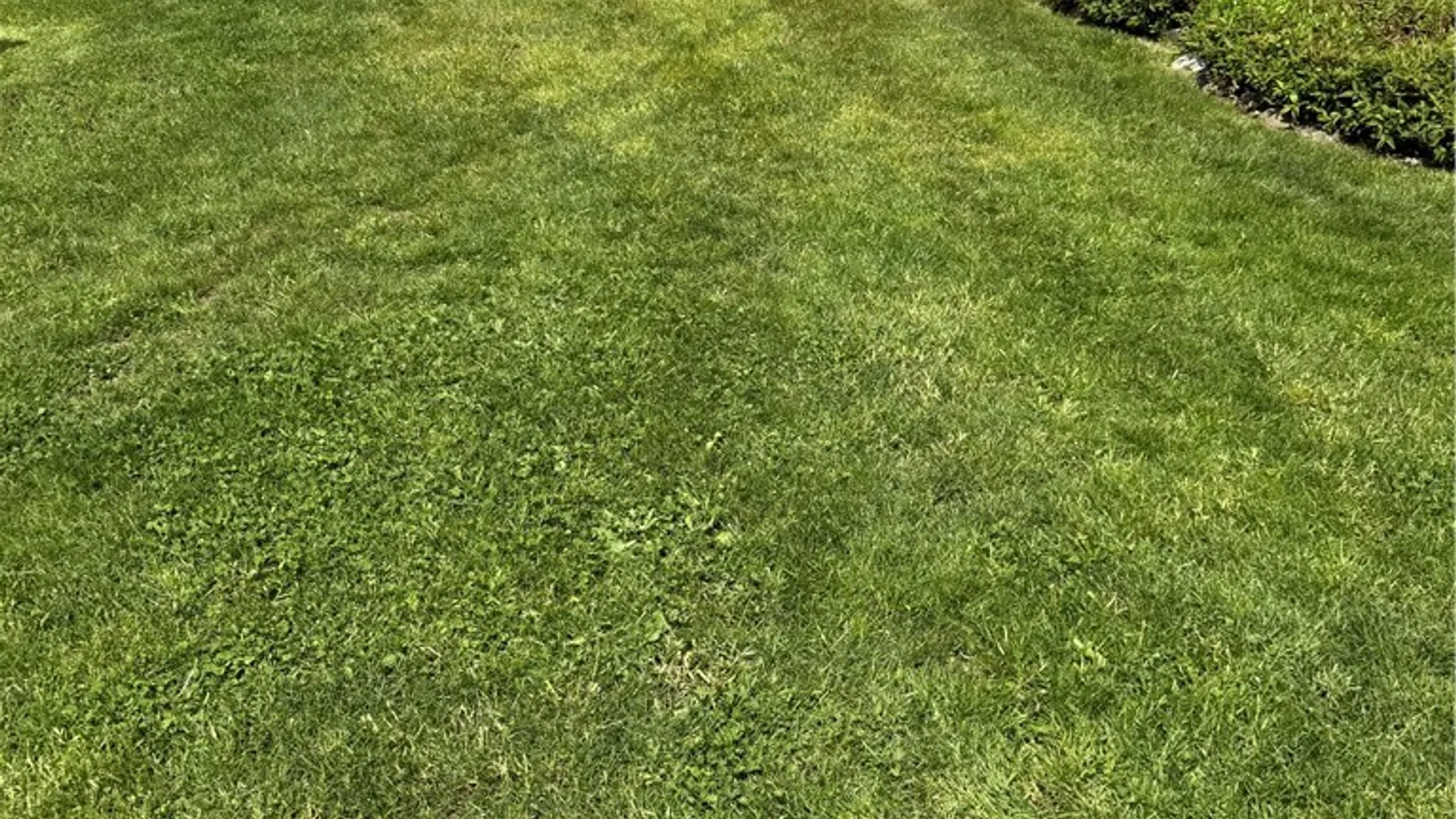 Property at 3525 Ross Street, North Harmony, NY 14785 3