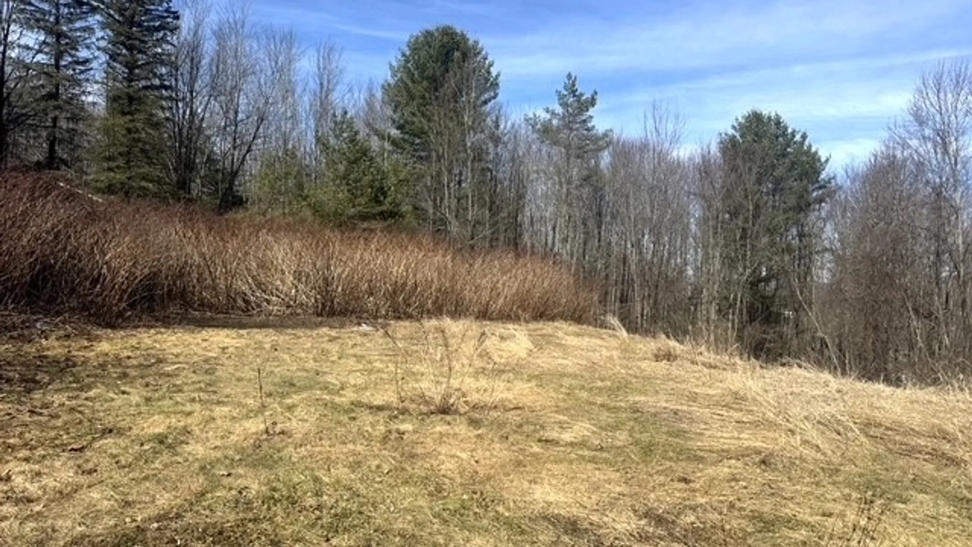 Property at 5905 Morton Hill Road, Hornellsville, NY 14843 3