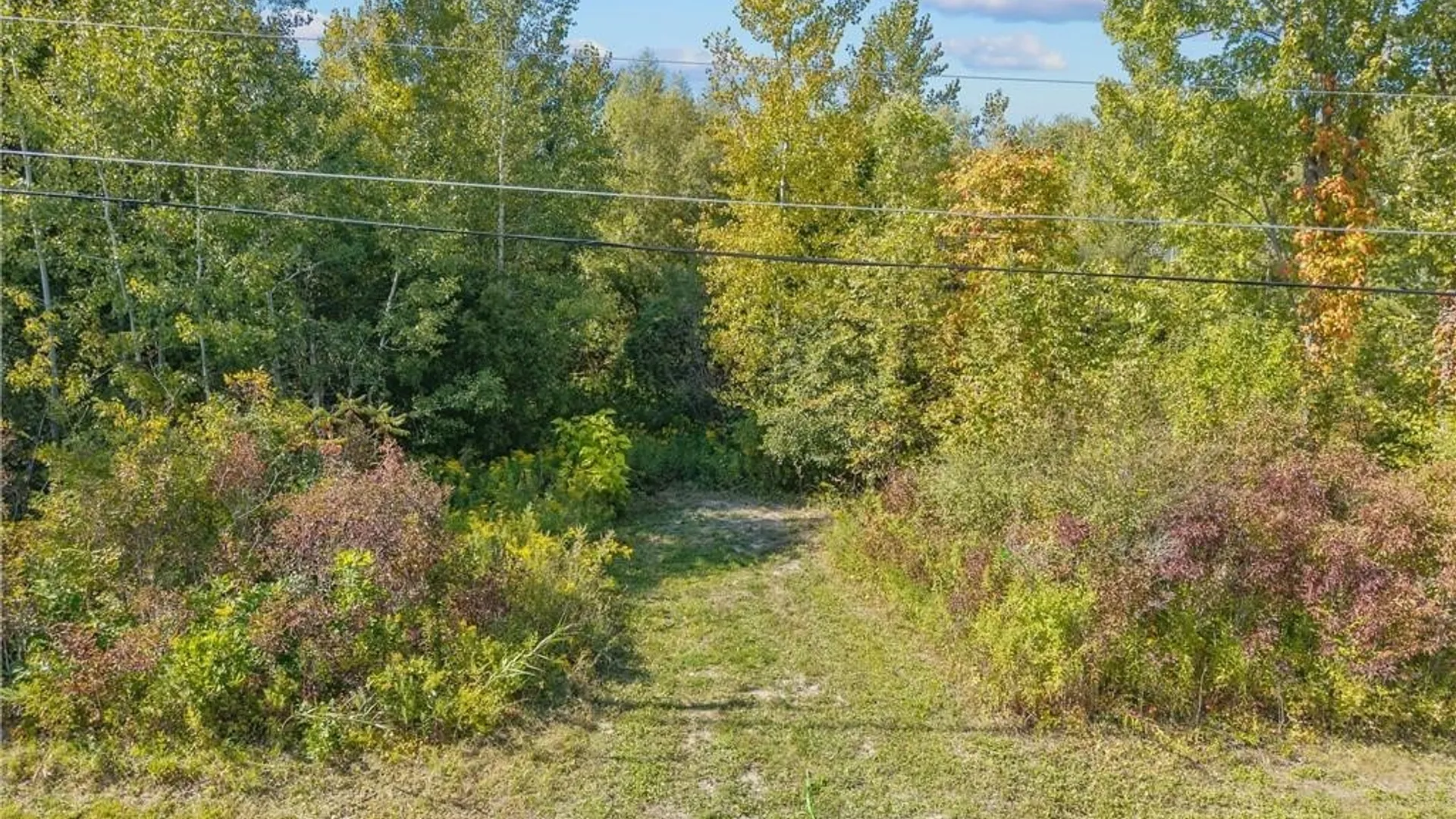 Property at 9149 Mud Mill Road, Clay, NY 13039 7