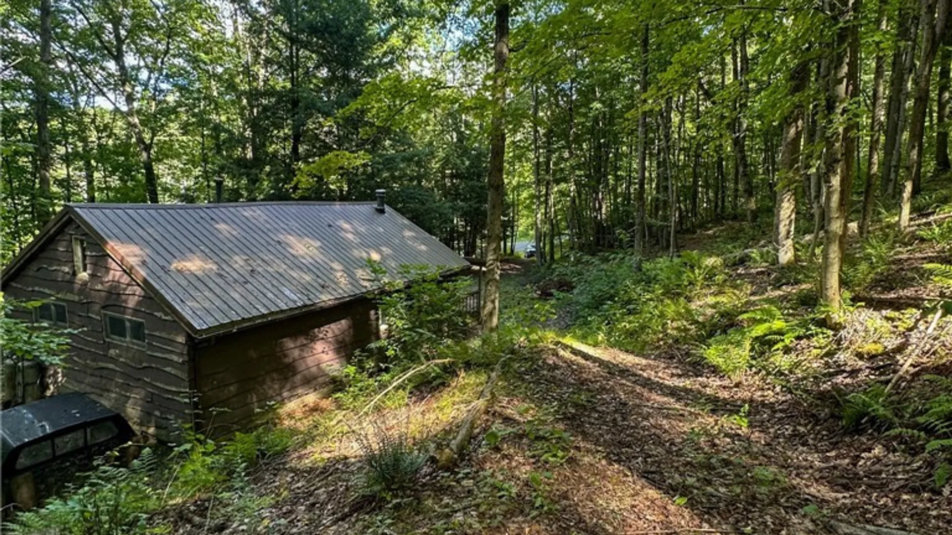 Property at 867 Lippert Hollow Road, Allegany, NY 14706 6