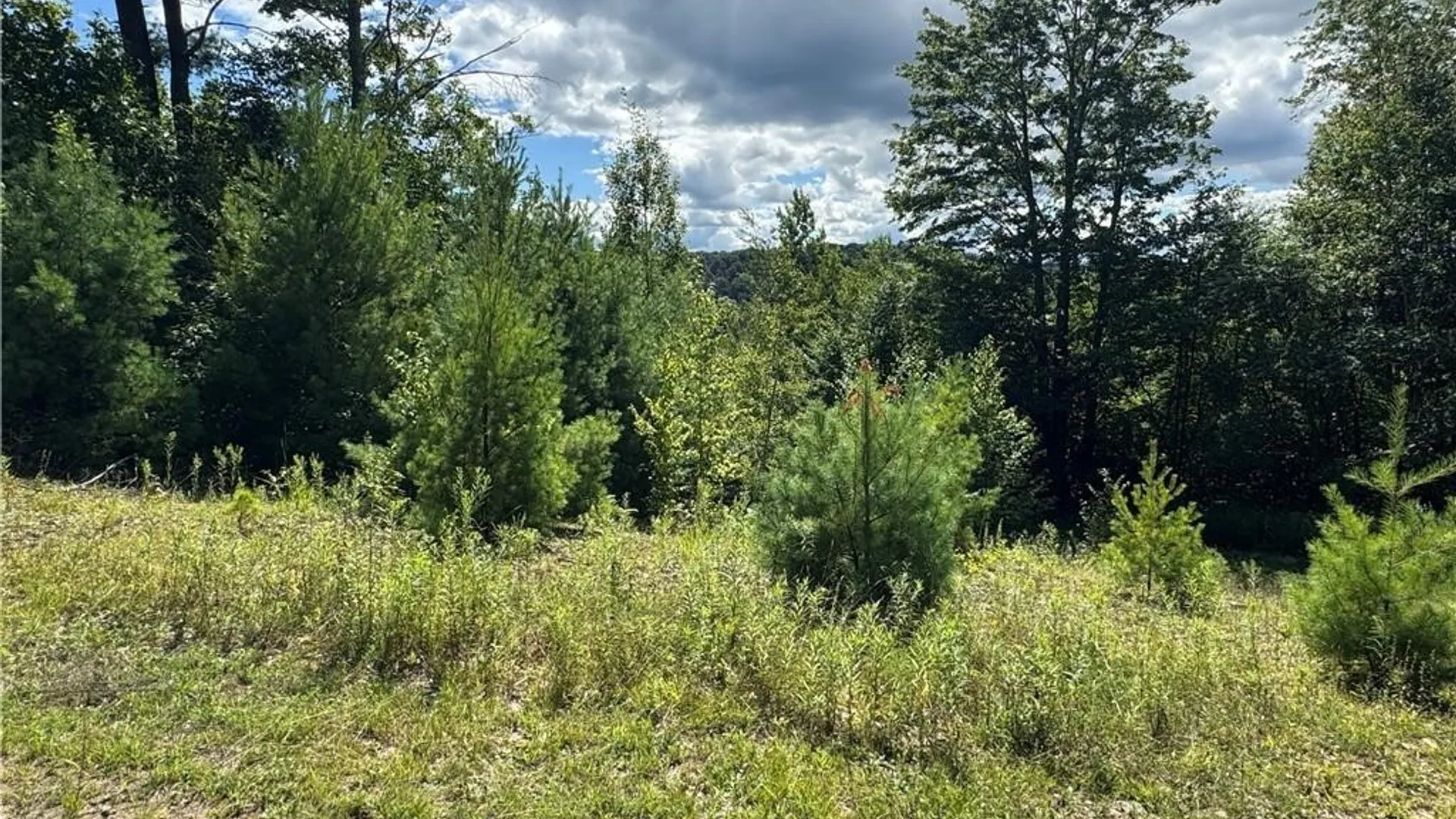 Property at 5400 County Road 38, Alma, NY 14708 11