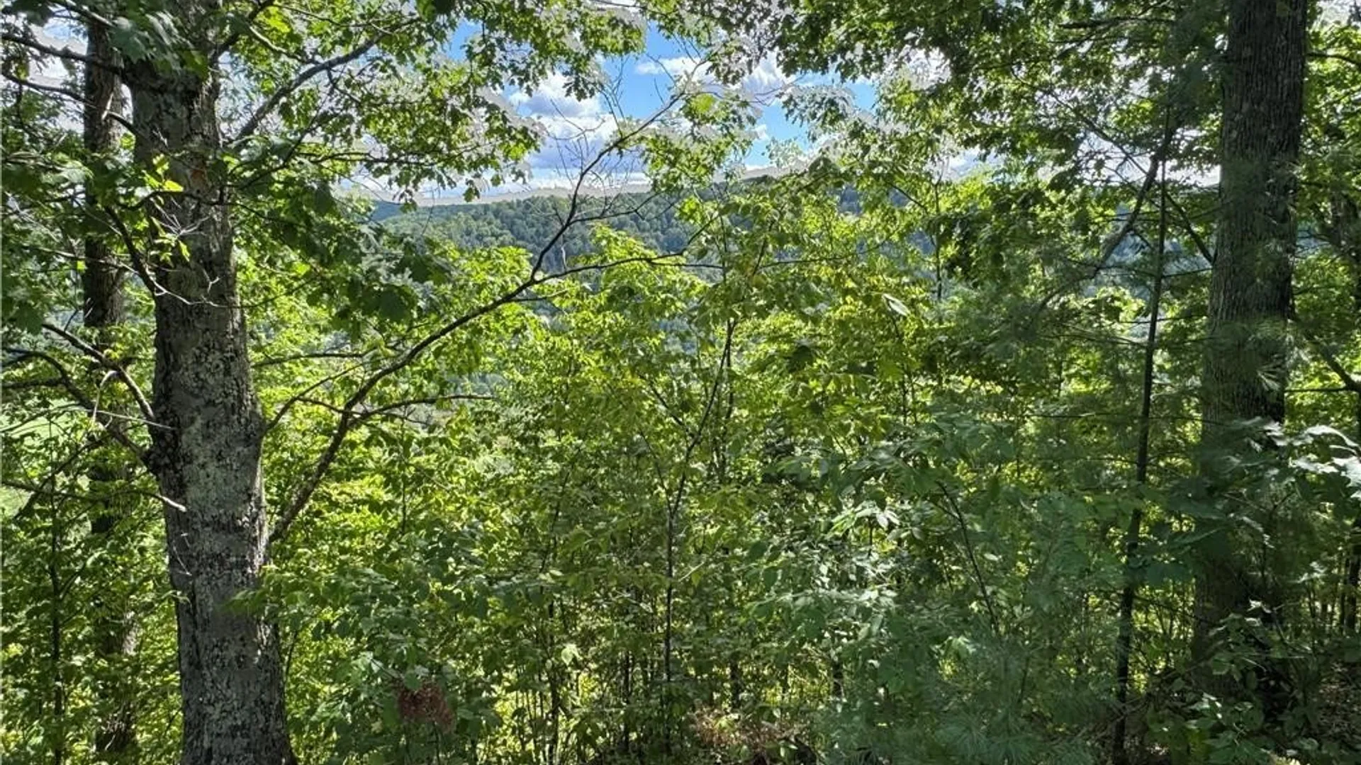 Property at 5400 County Road 38, Alma, NY 14708 28